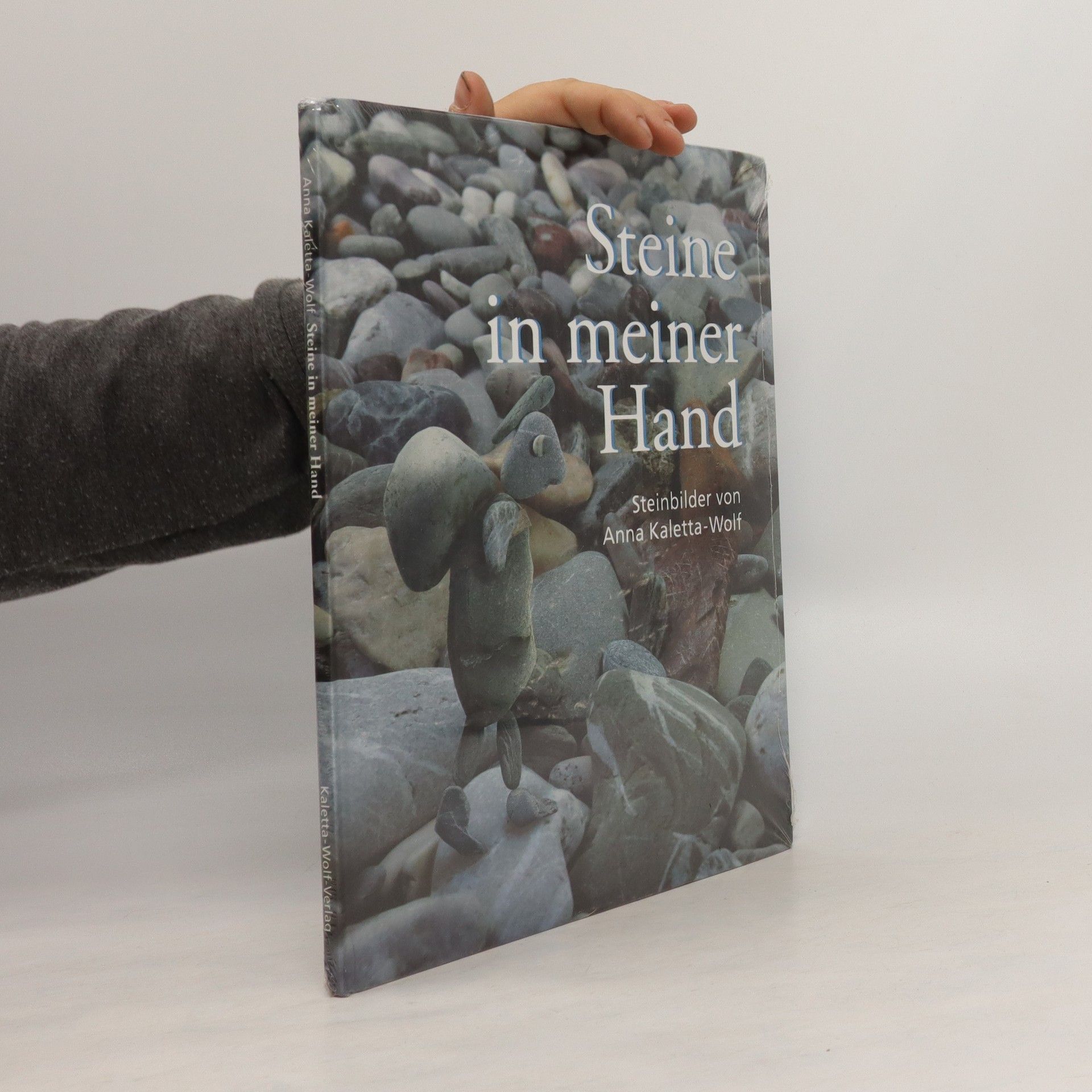 Anna Kaletta Wolf Steine in meiner Hand