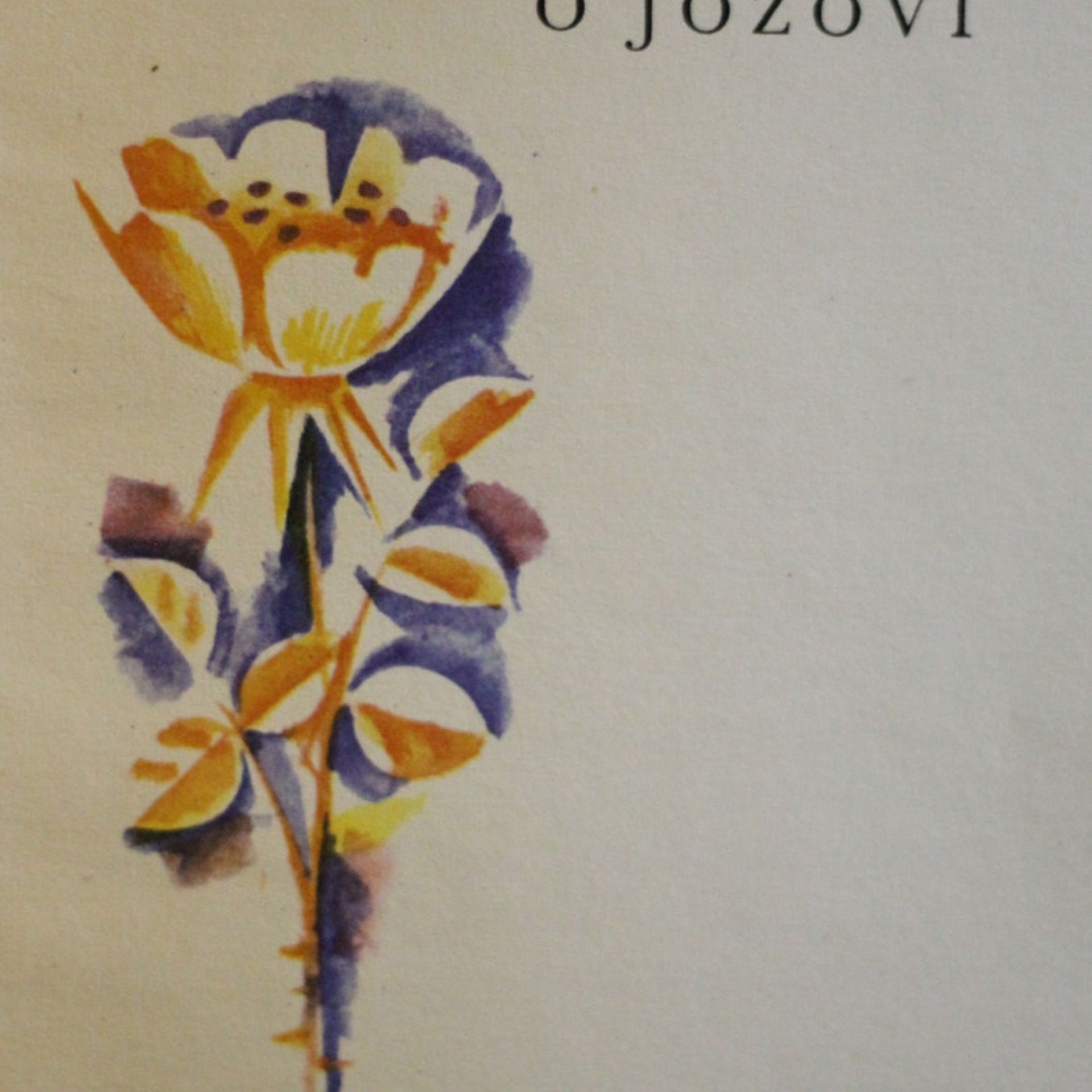 Božena Němcová O Jozovi