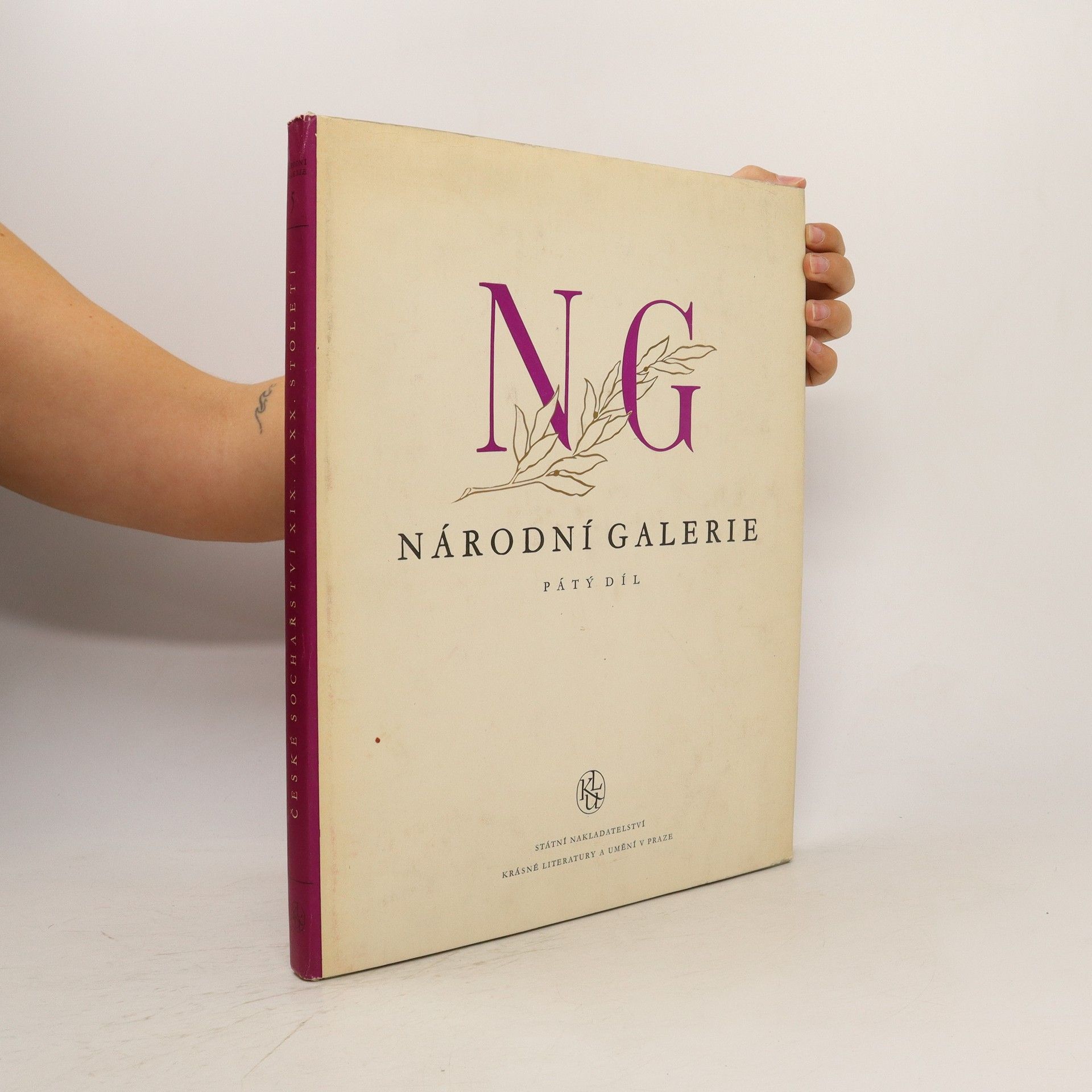 Kolektív autorov Narodní galerie - České sochařství XIX.-XX. století (V. díl)