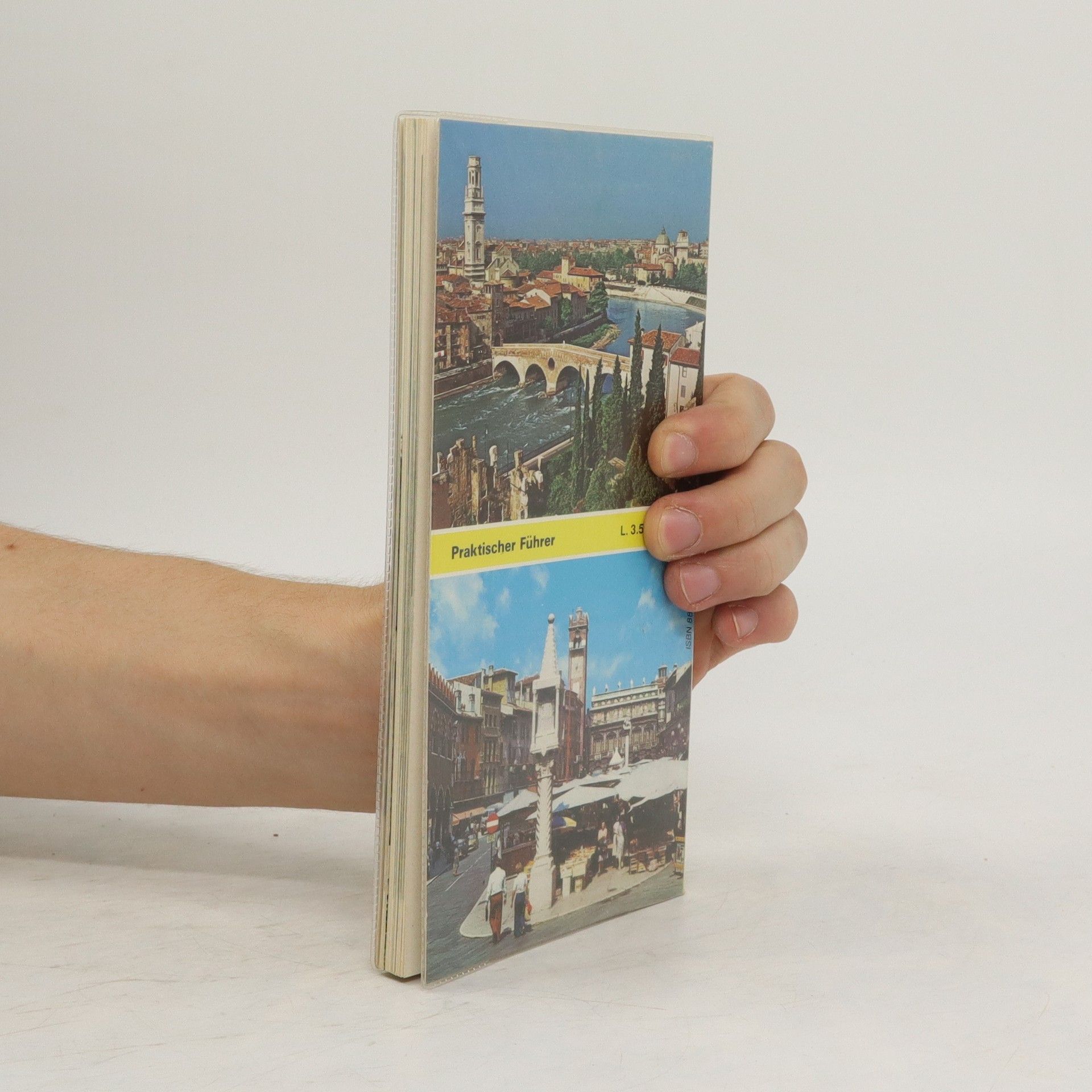 Autorenkollektiv Verona mit 137 Farbtafeln