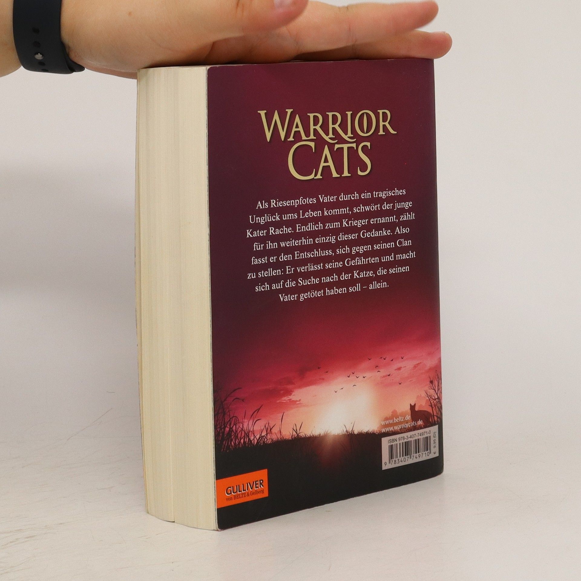 Erin Hunter Riesensterns Rache