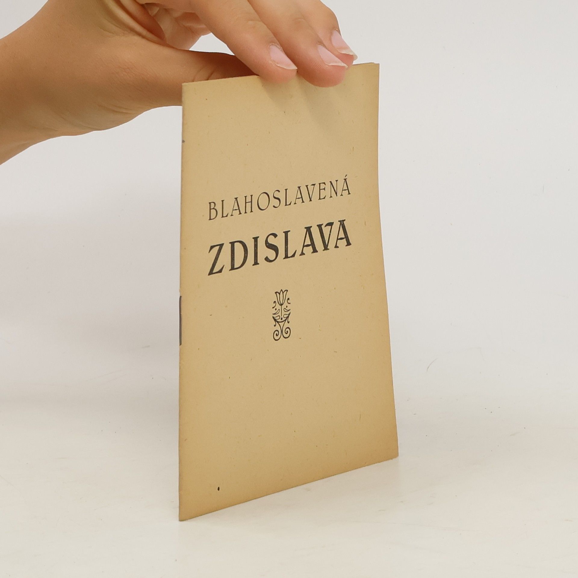 Kolektív autorov Blahoslavená Zdislava