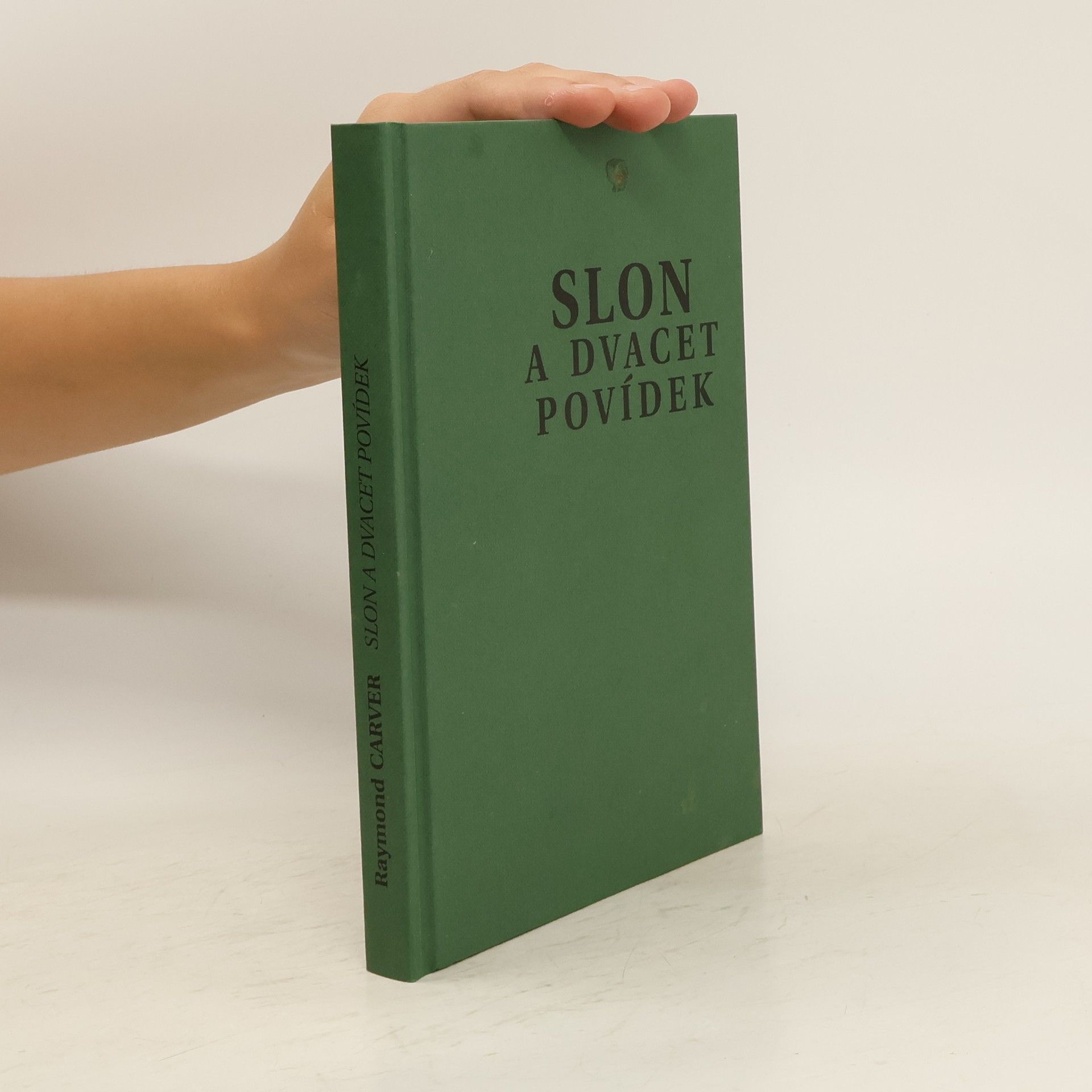 Raymond Carver Slon a dvacet povídek