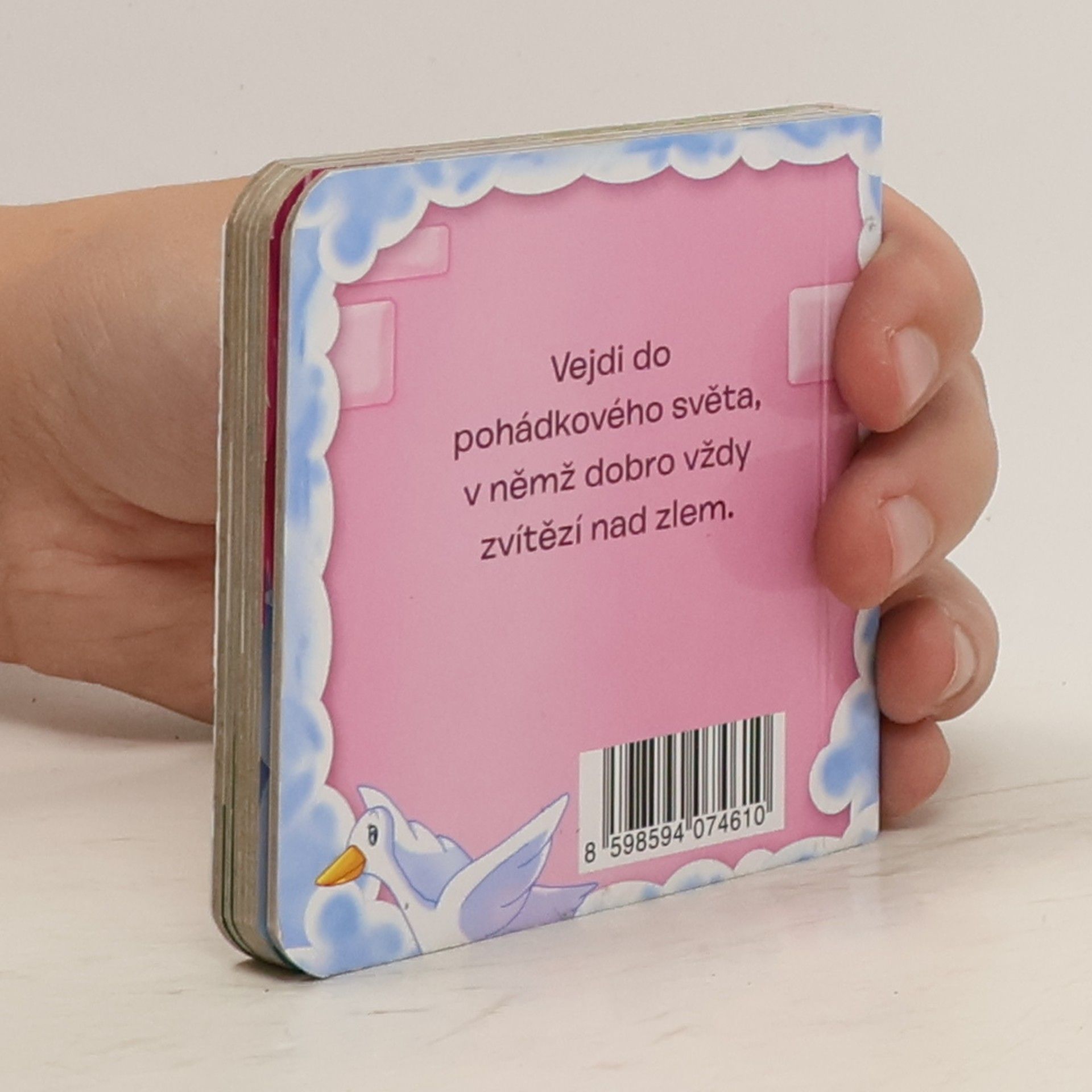 Kolektiv autorů Princezna Husopaska
