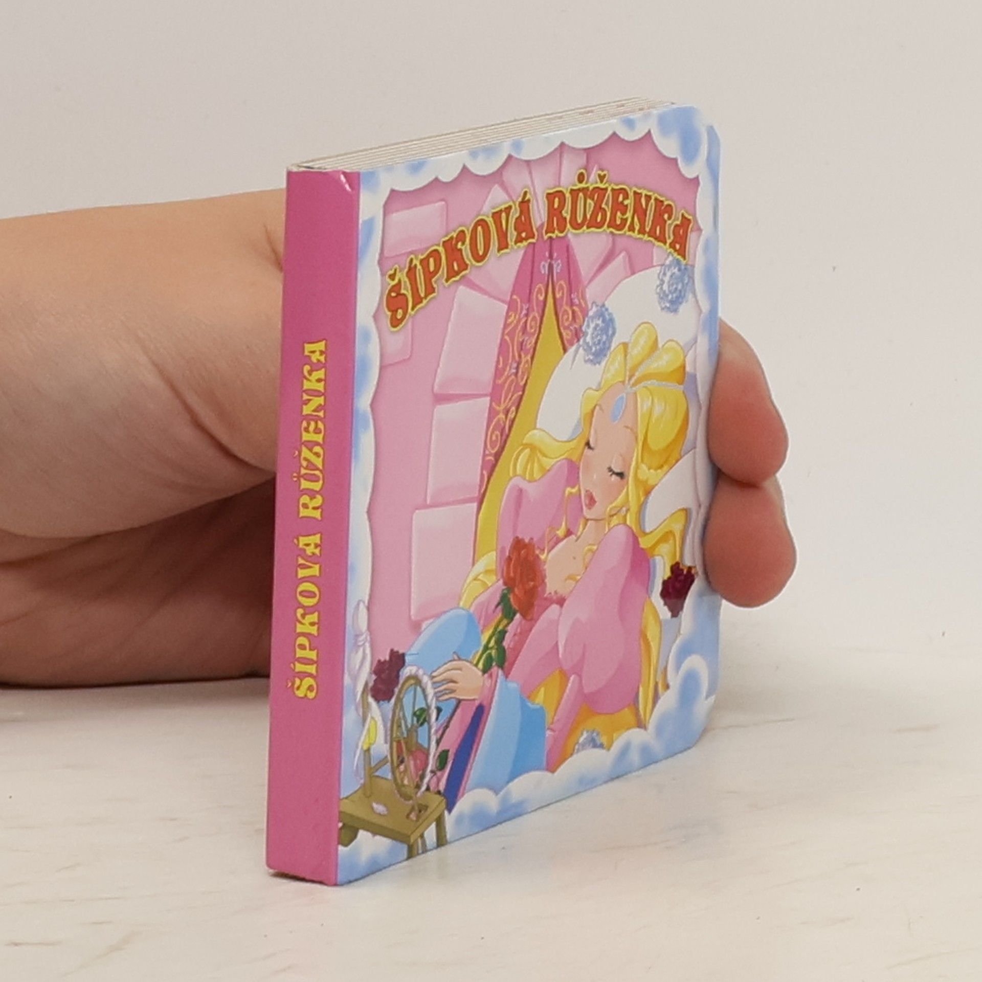 Kolektiv autorů Šípková Růženka