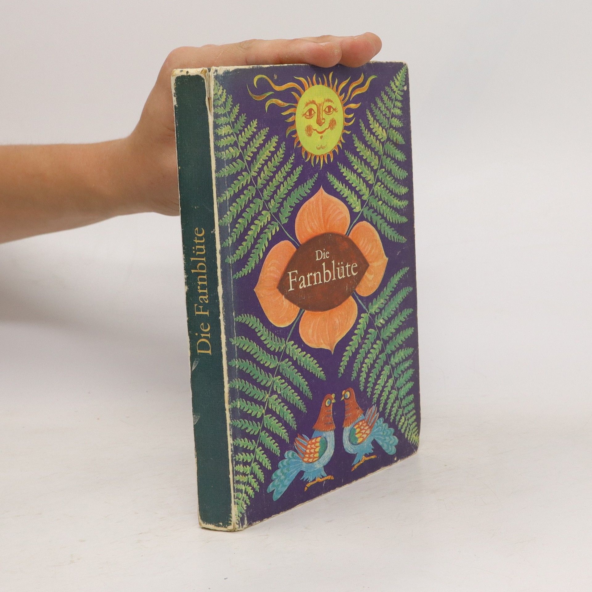 Autorenkollektiv Die Farnblüte