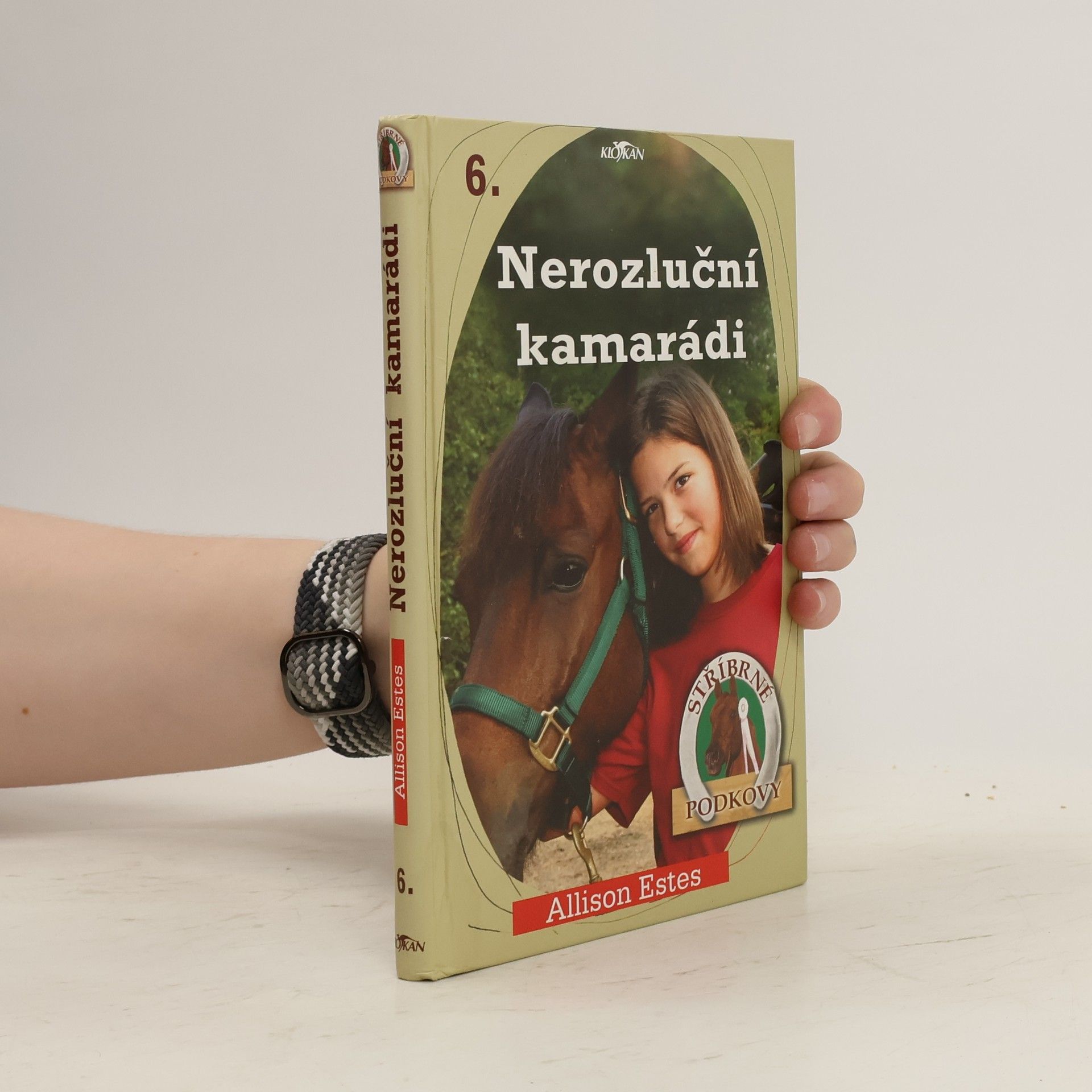 Allison Estes Stříbrné podkovy. 6, Nerozluční kamarádi