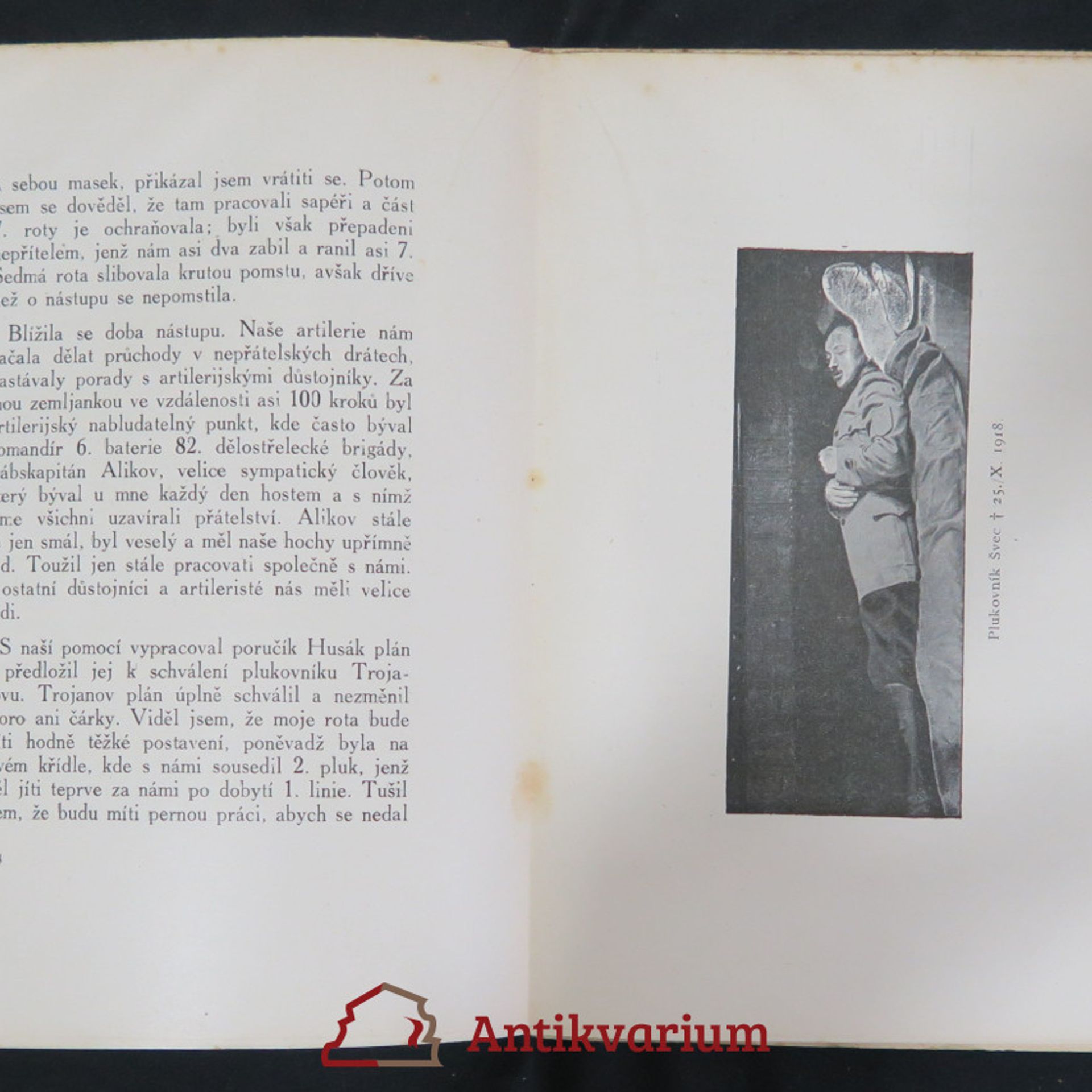 Josef Švec Deník plukovníka Švece