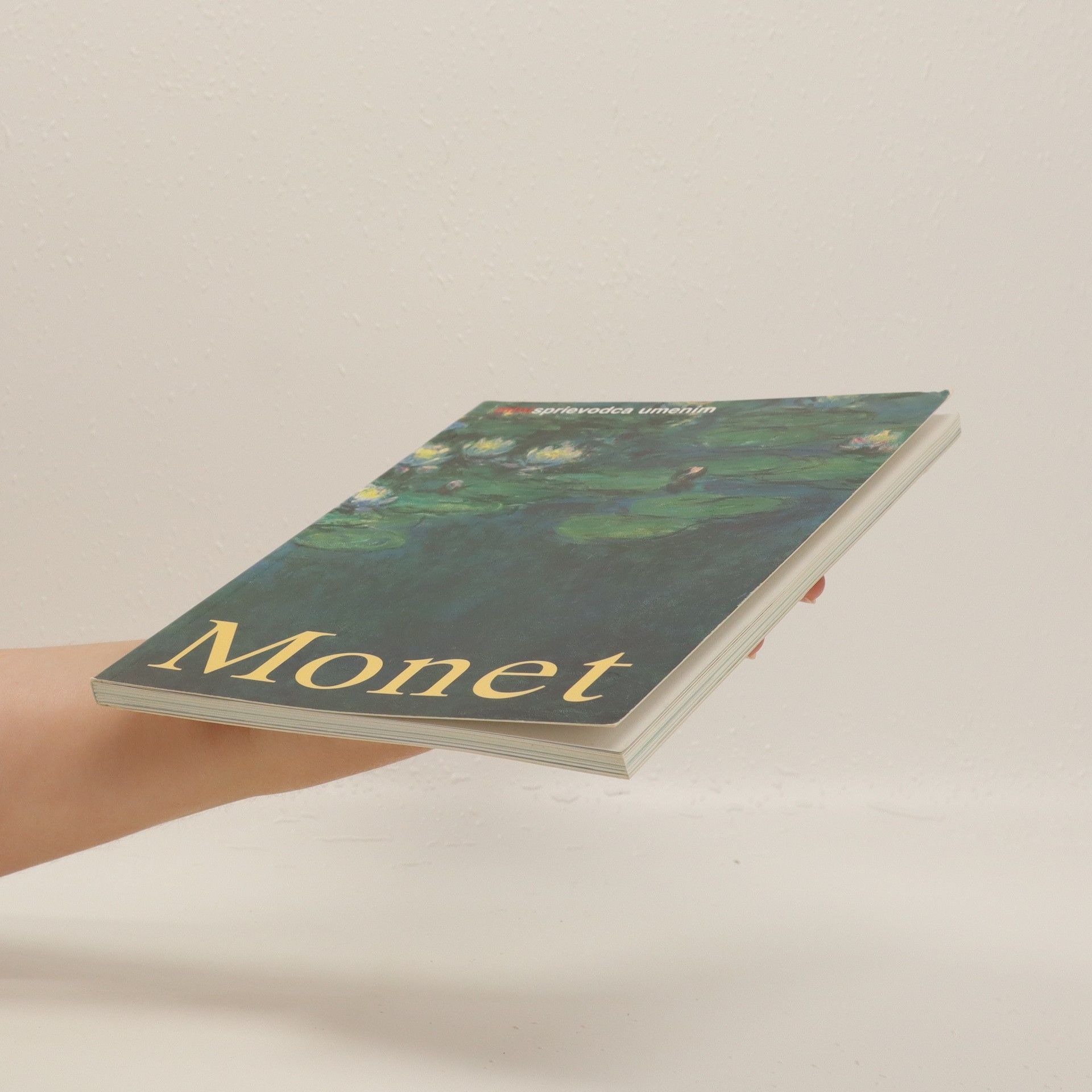 Birgit Zeidler Claude Monet. Život a dielo