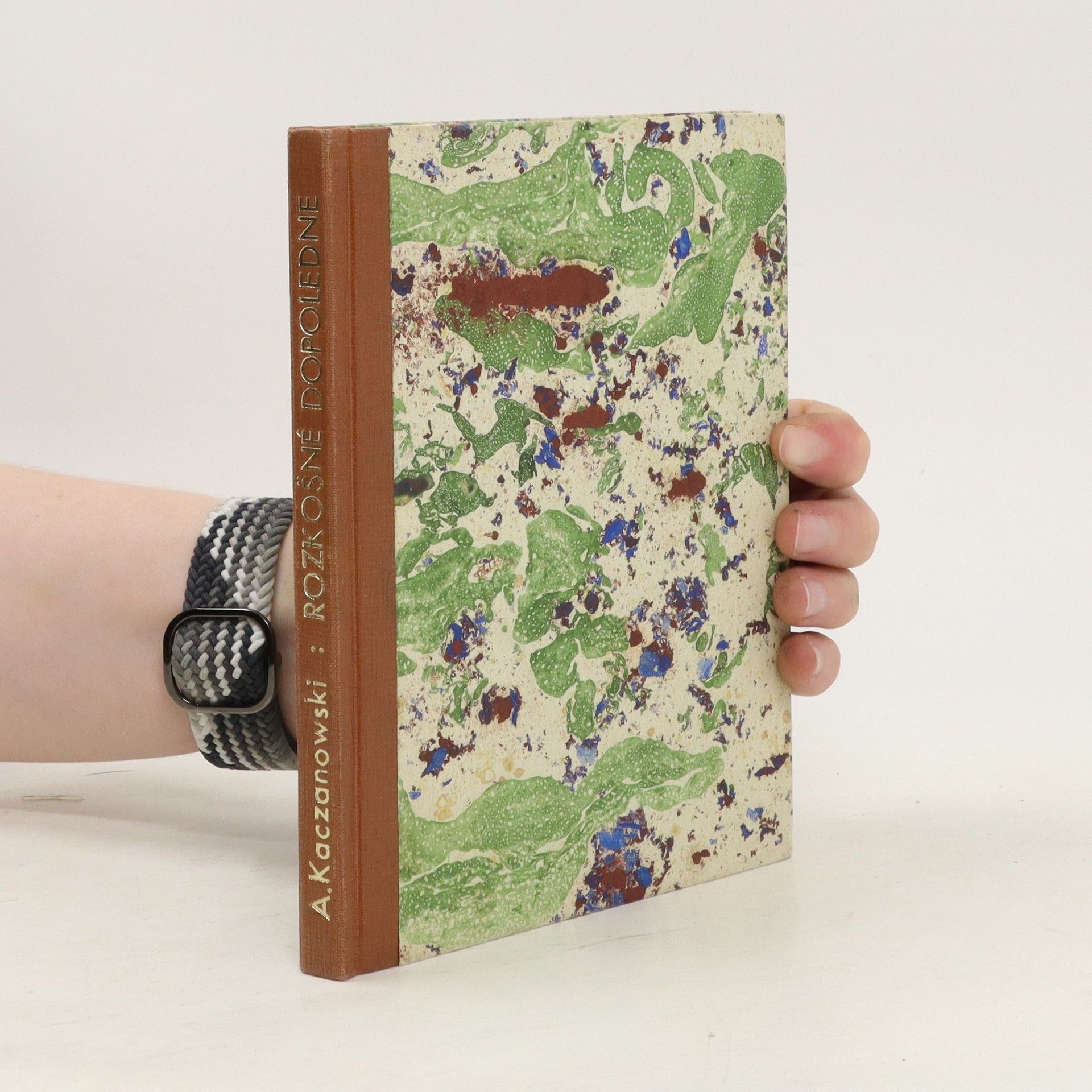 Alojzy Kaczanowski  Rozkošné dopoledne