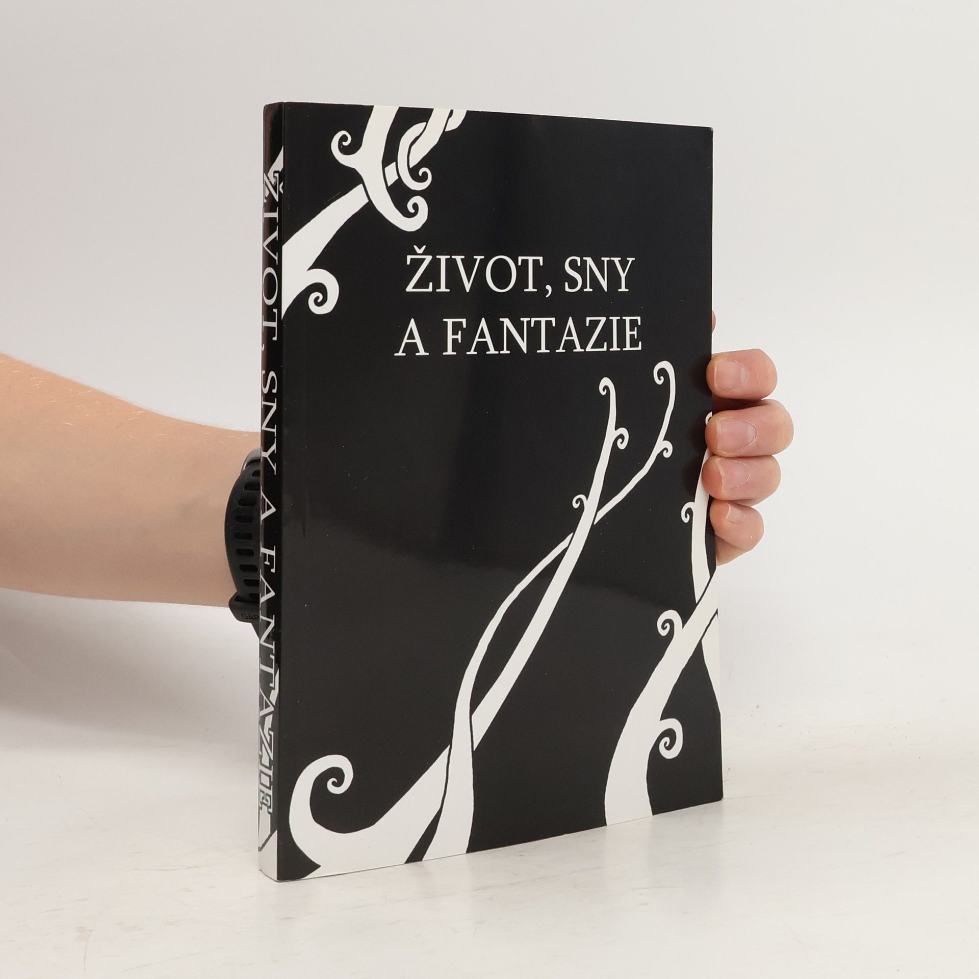 Auteurscollectief Život, sny a fantazie. Almanach studentů Gymnázia Jana Ámose Komenského v Novém Strašecí