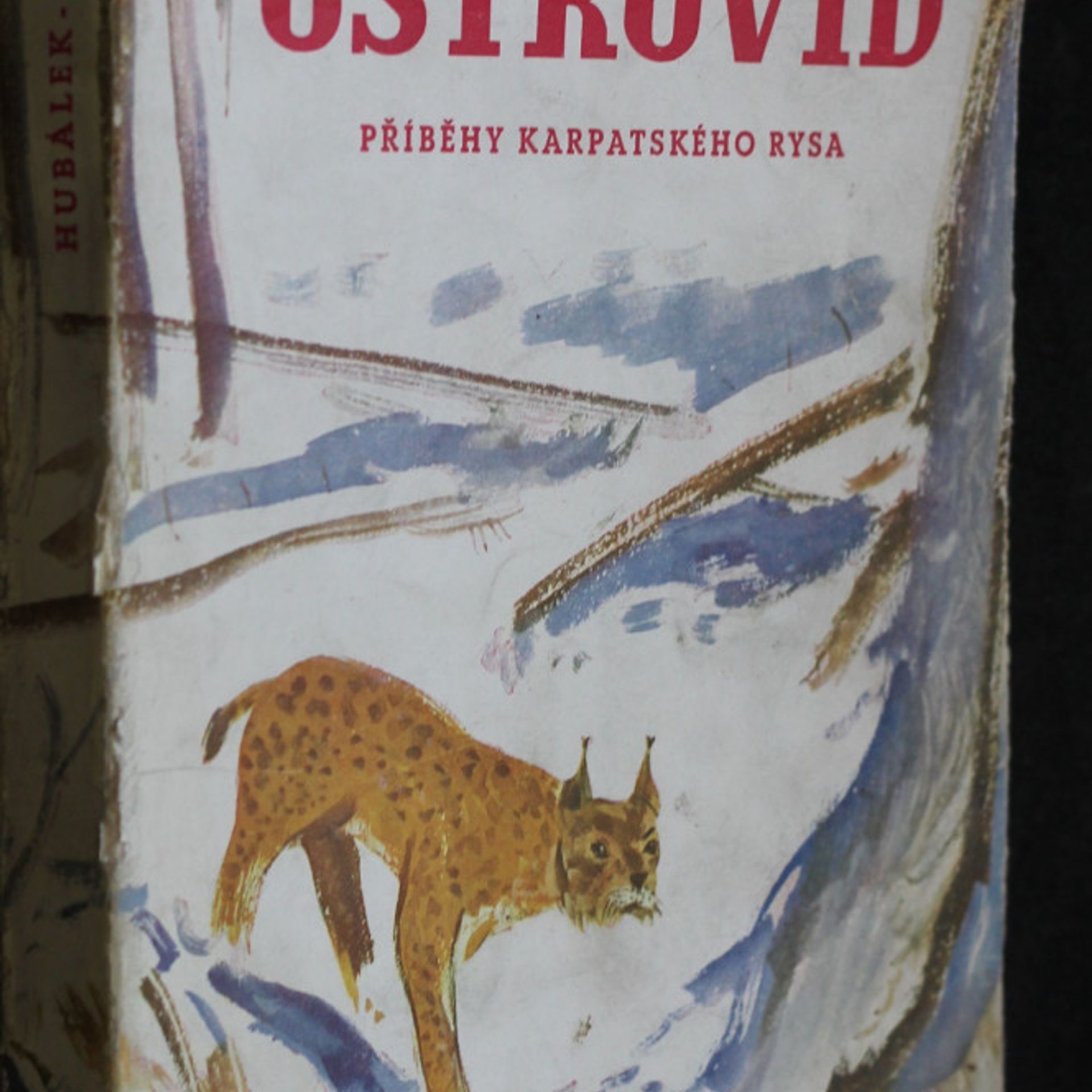 Jaroslav Hubálek Ostrovid: Příběhy karpatského rysa