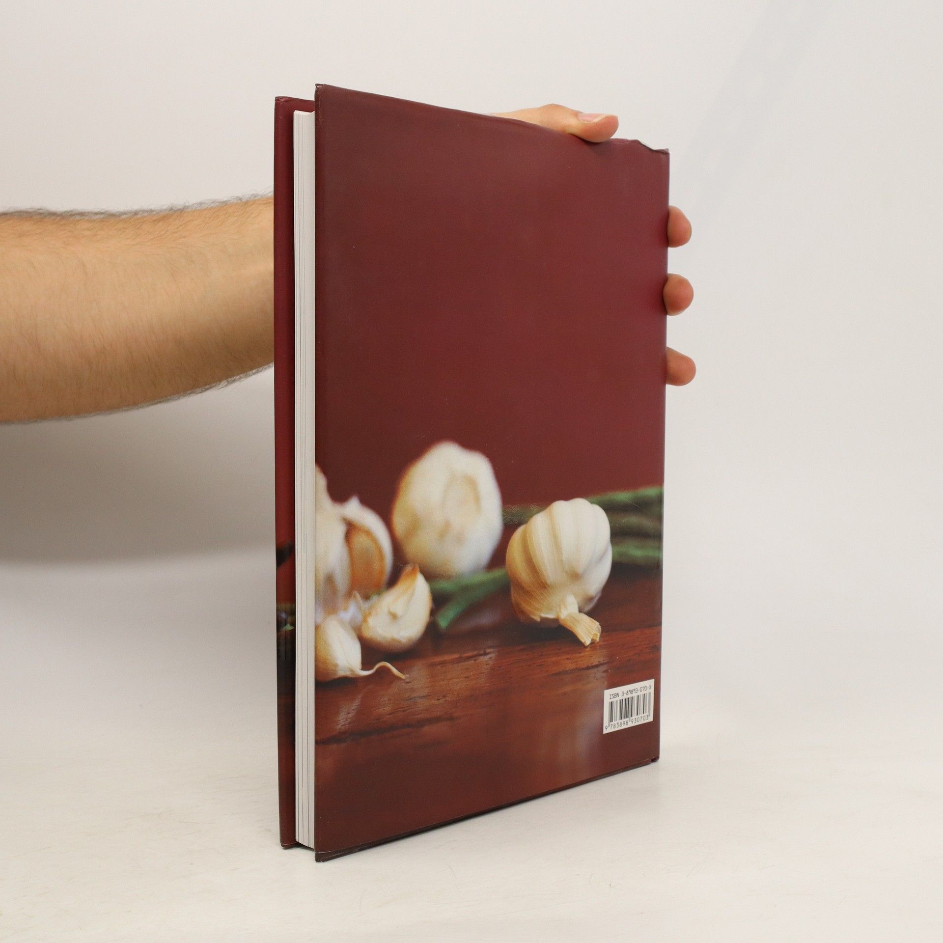 AA.VV. Das grosse wok kochbuch