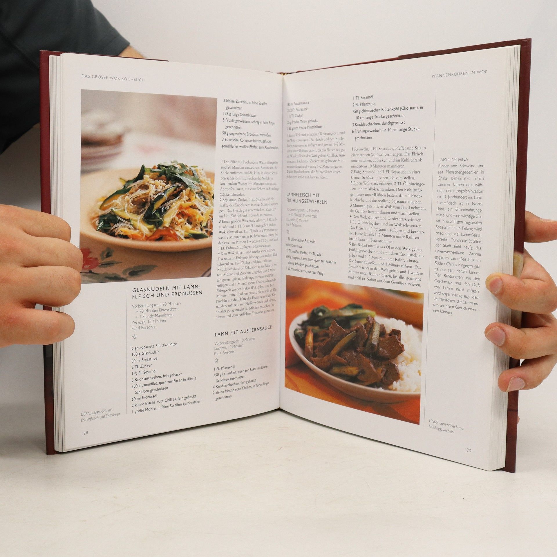 AA.VV. Das grosse wok kochbuch