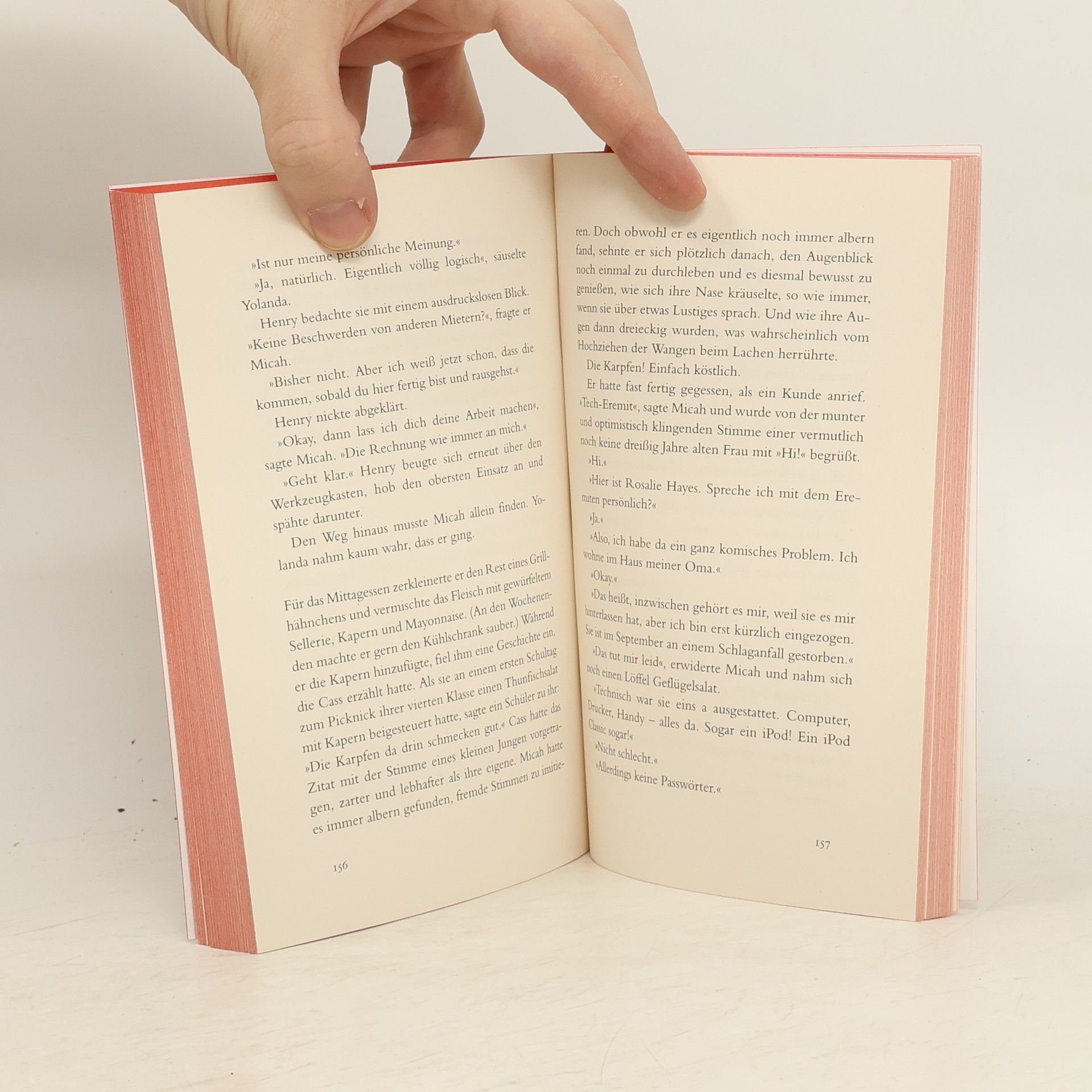 Anne Tyler Der Sinn des Ganzen