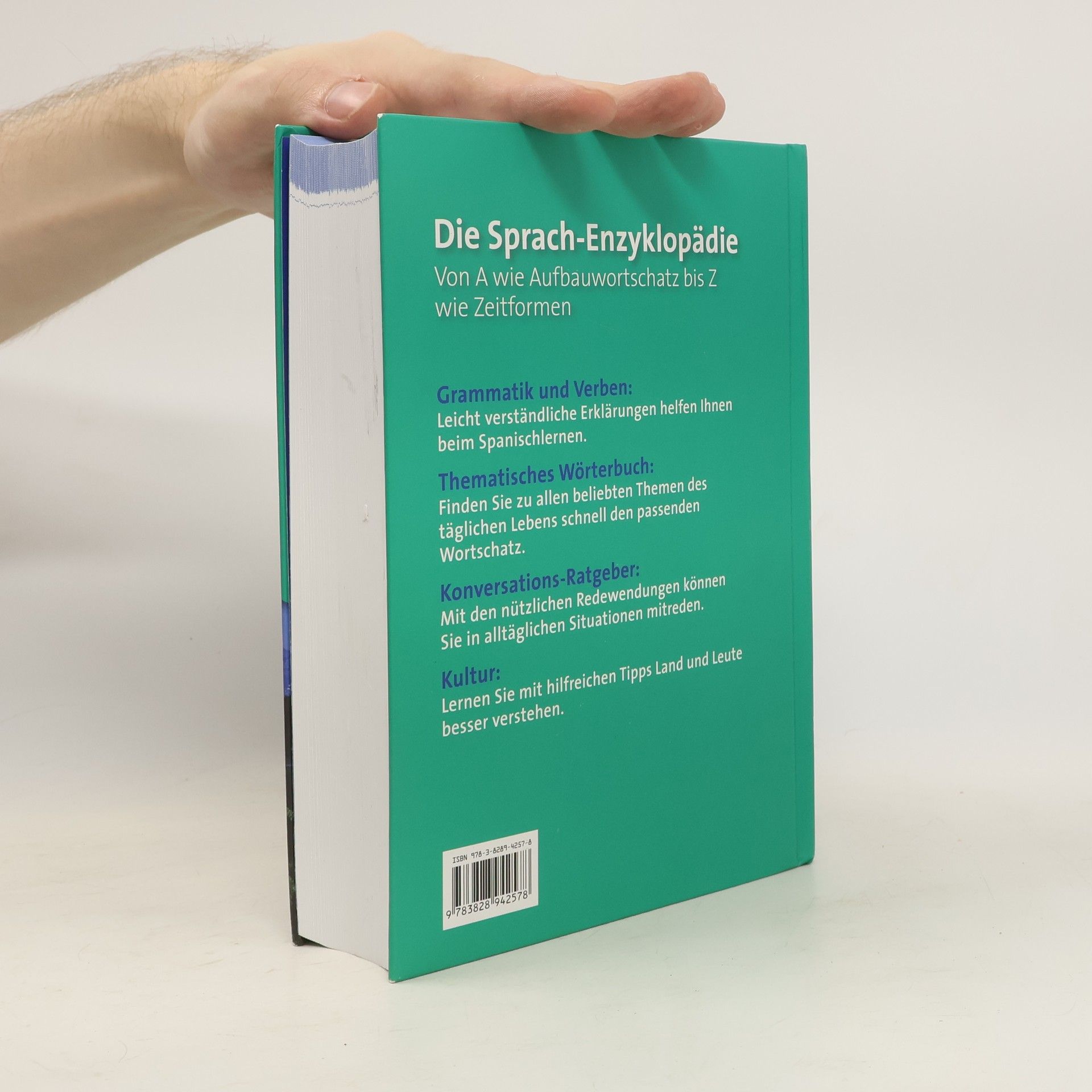 Das große Handbuch Spanisch