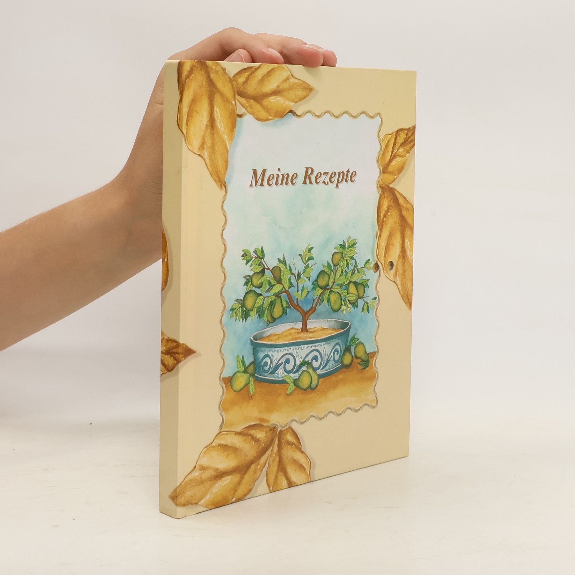 Auteurscollectief Meine Rezepte