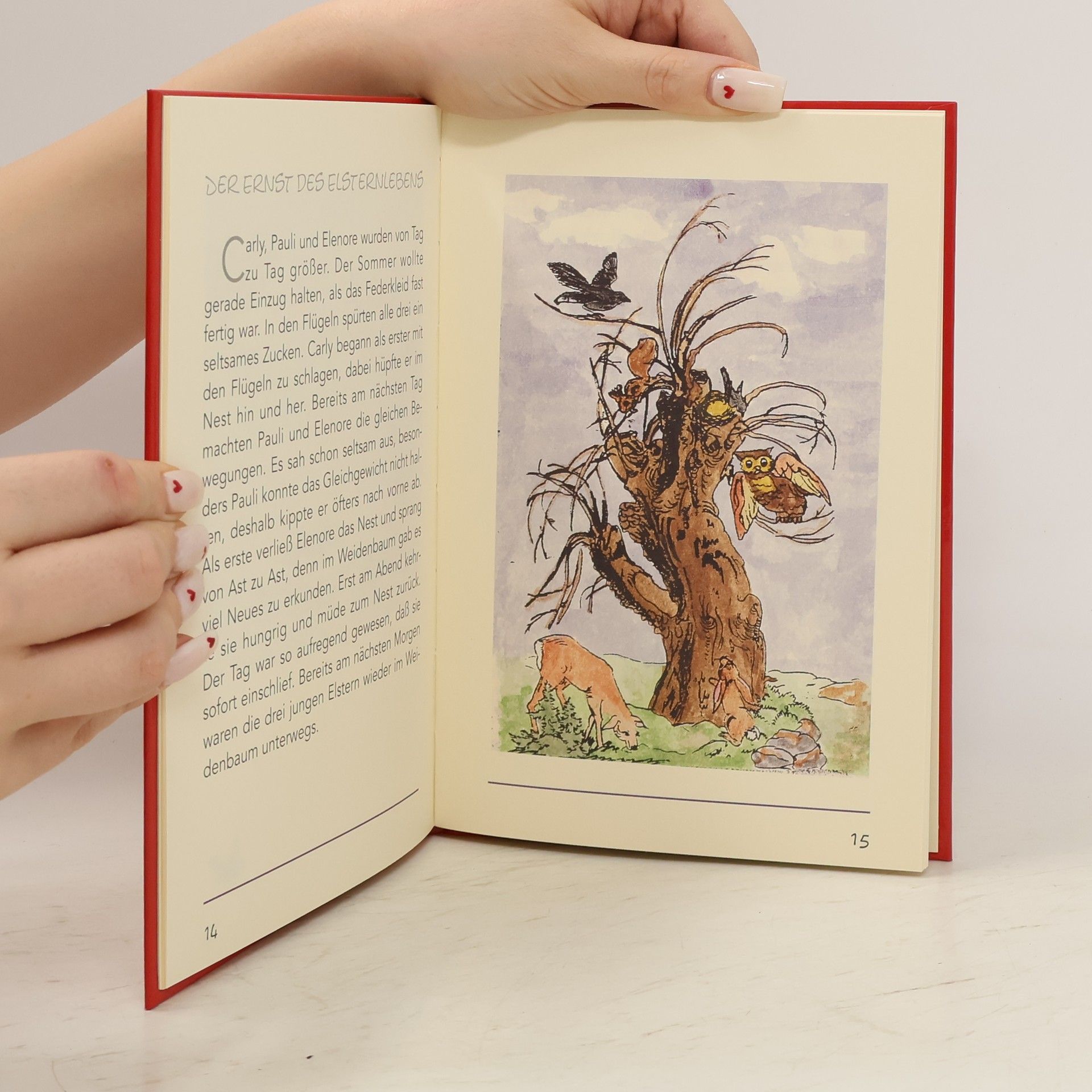 Autorenkollektiv Elenore die Dießische Elster. Eine Tiergeschichte von Walter Swoboda