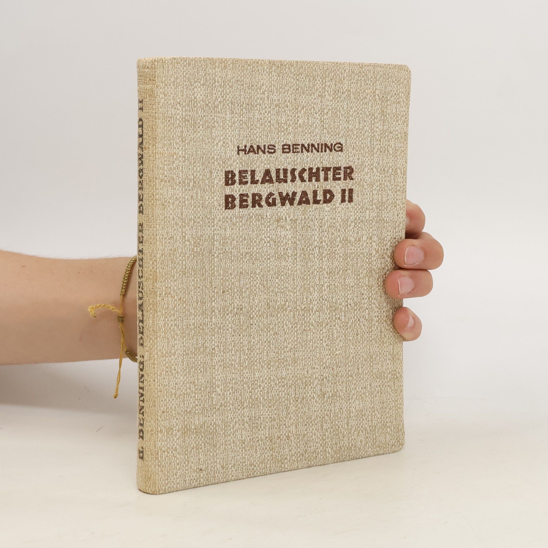 Hans Benning Belauschter Bergwald II