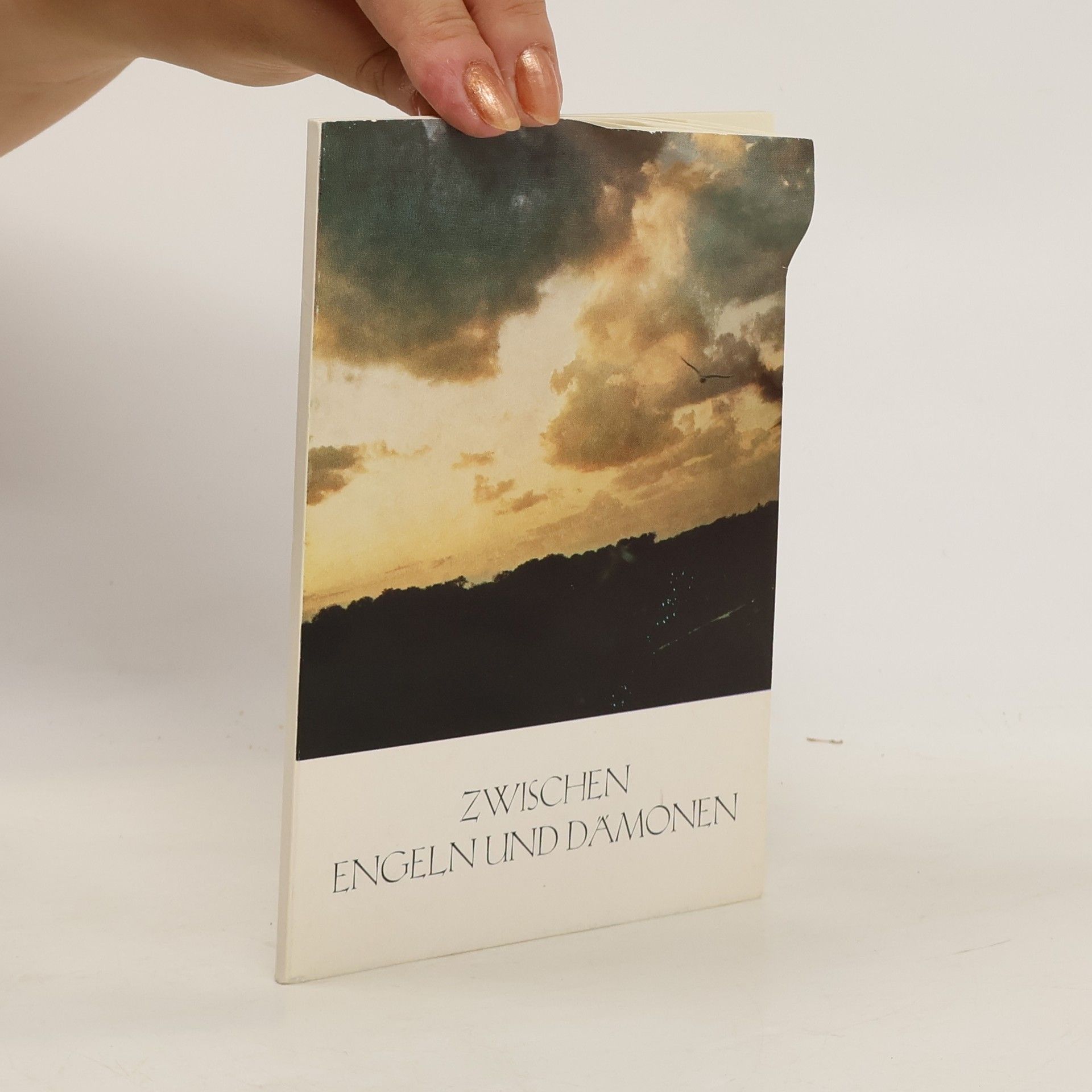 Autorenkollektiv Zwischen Engel und Dämonen