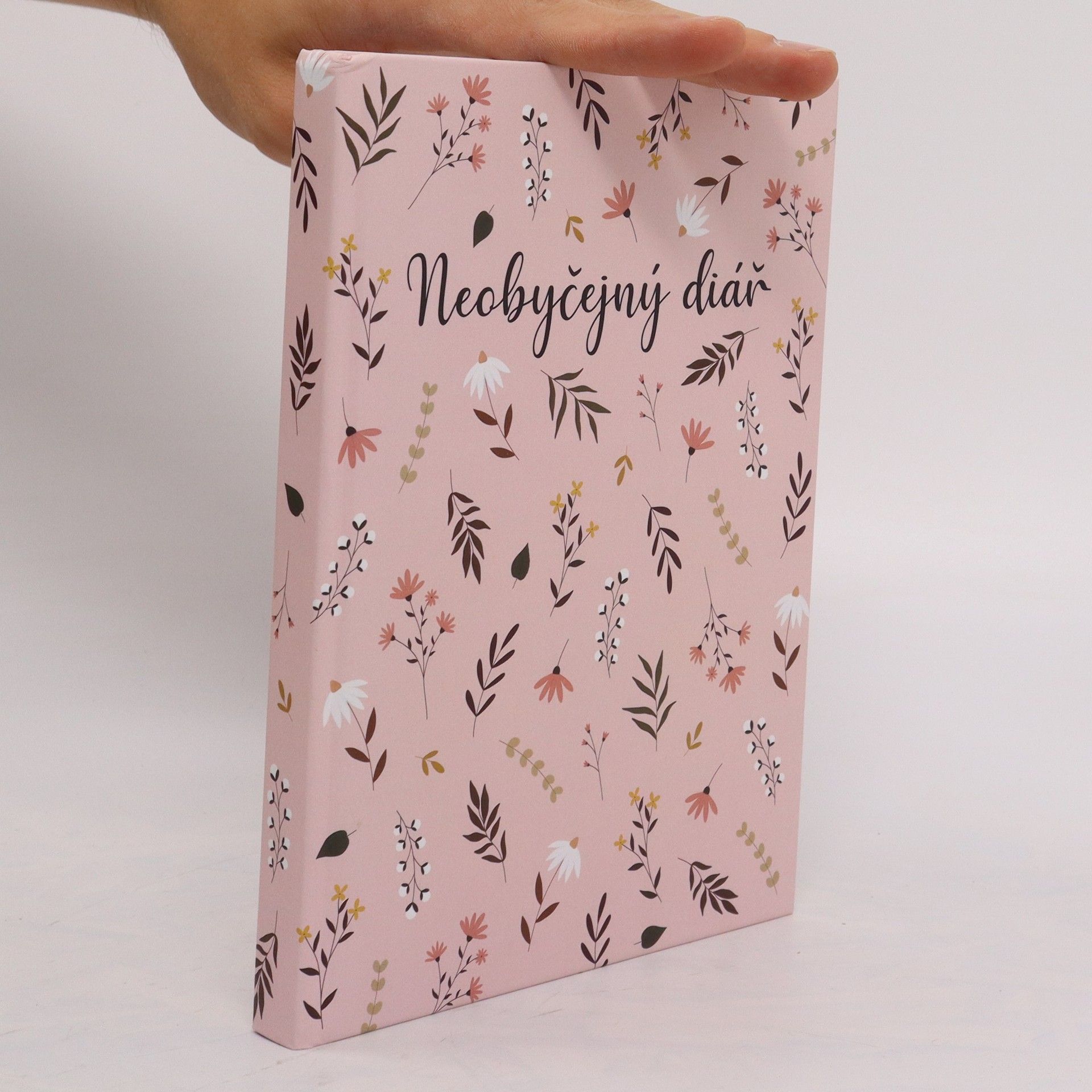 Veronika Šredlová Neobyčejný diář