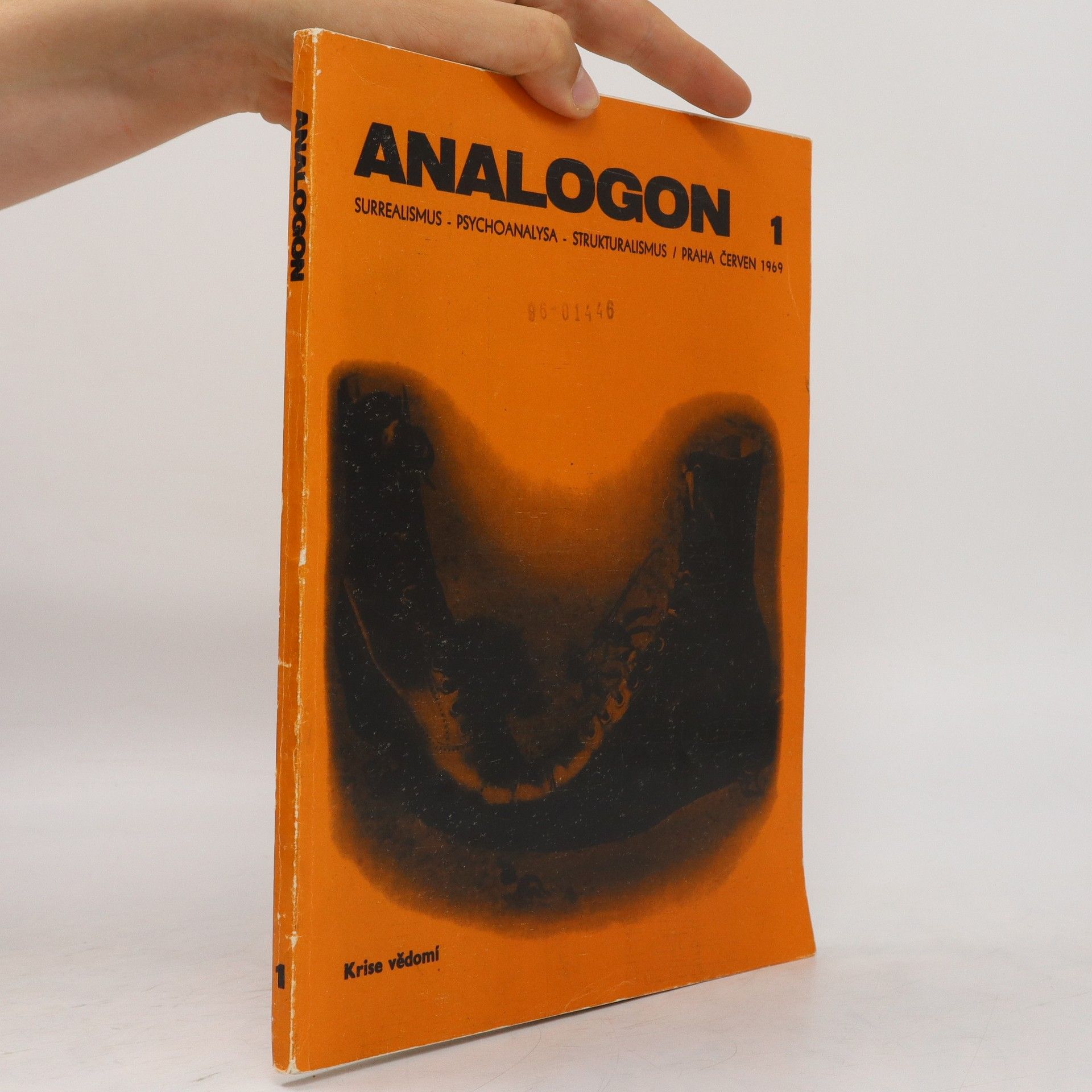 Kolektiv autorů Analogon 1