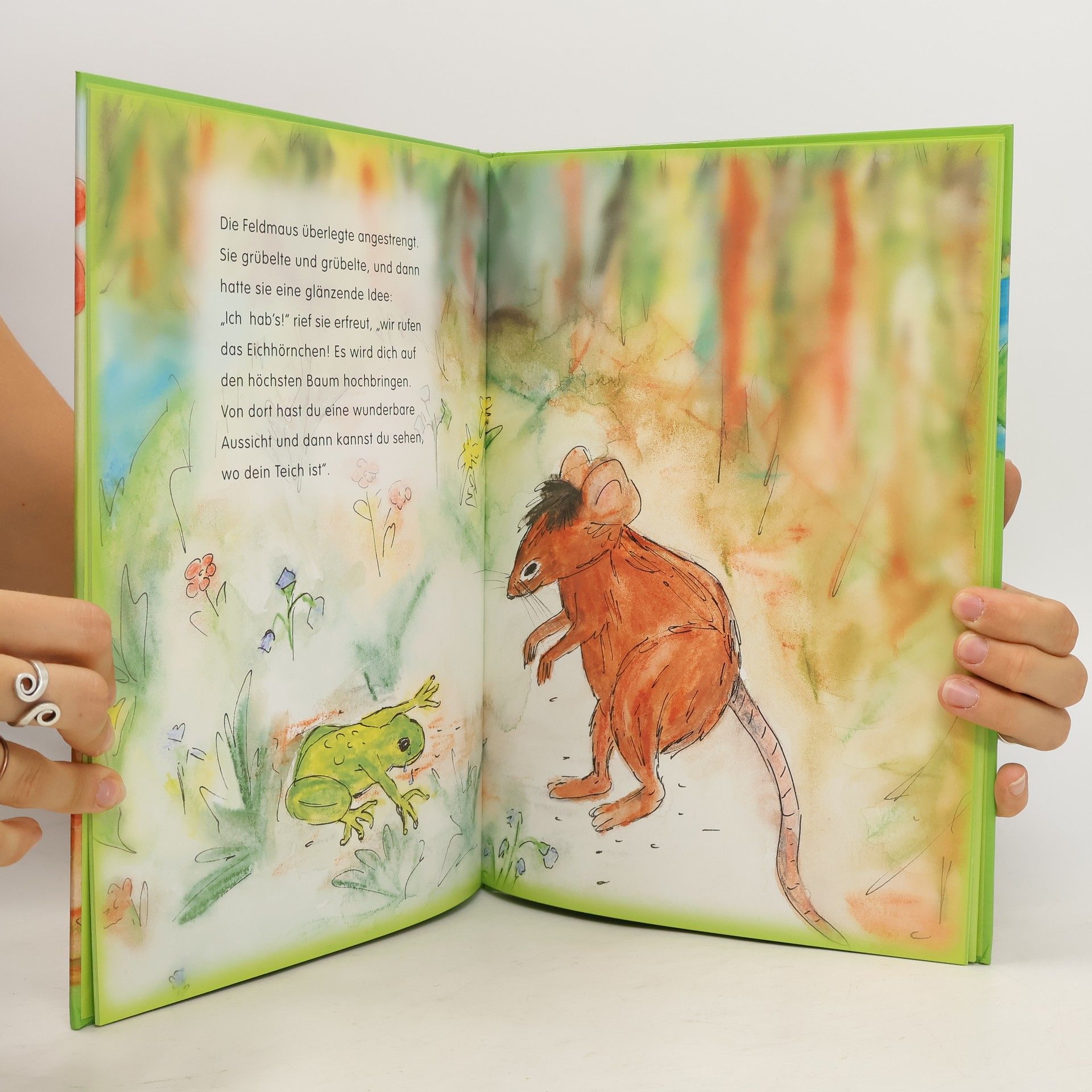 Isa M. Katz Der kleine Frosch
