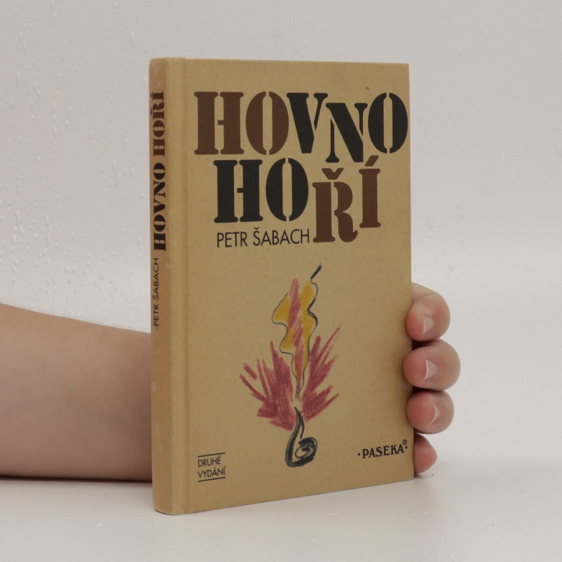 Petr Šabach Hovno hoří