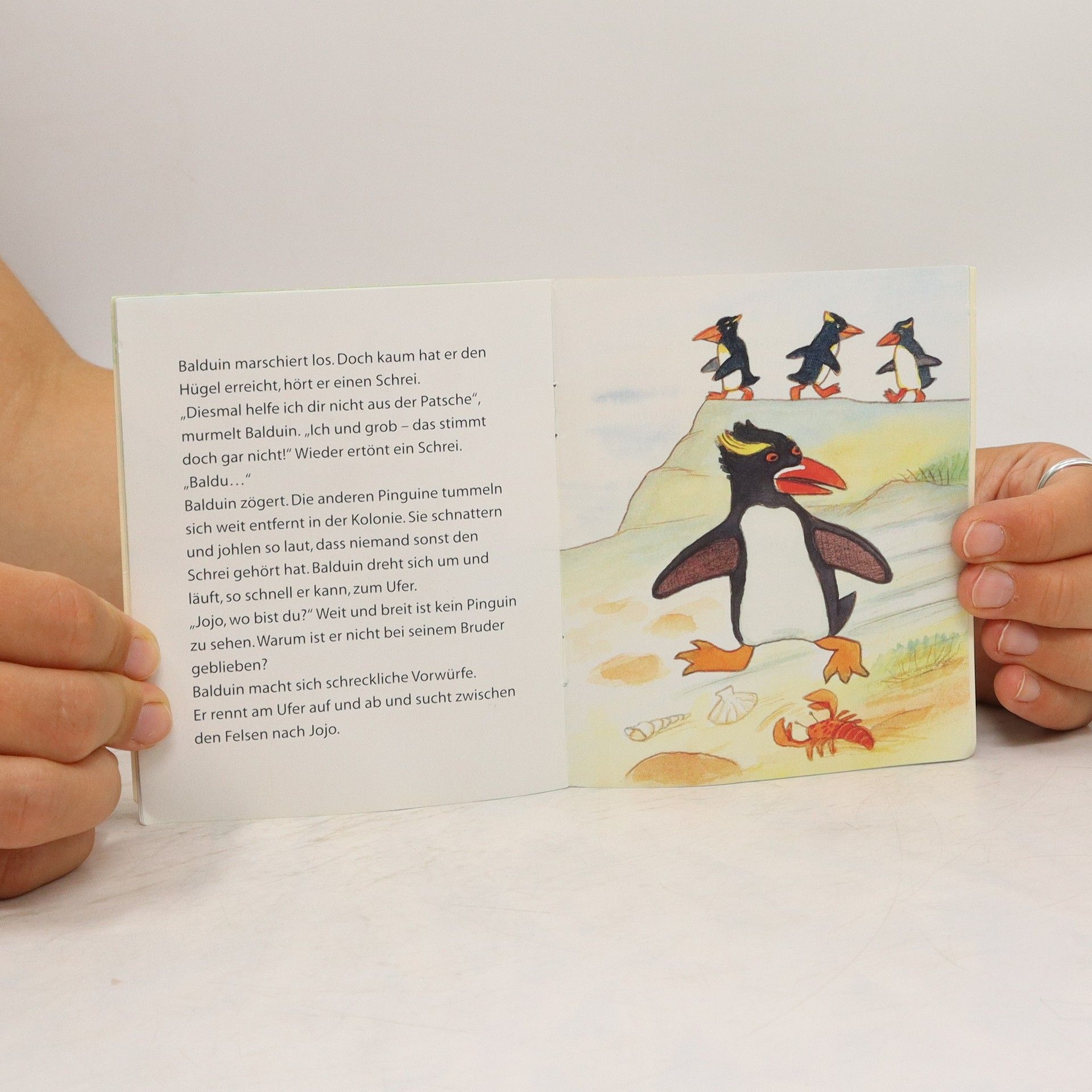 kolektiv Nur Mut, Pinguin!