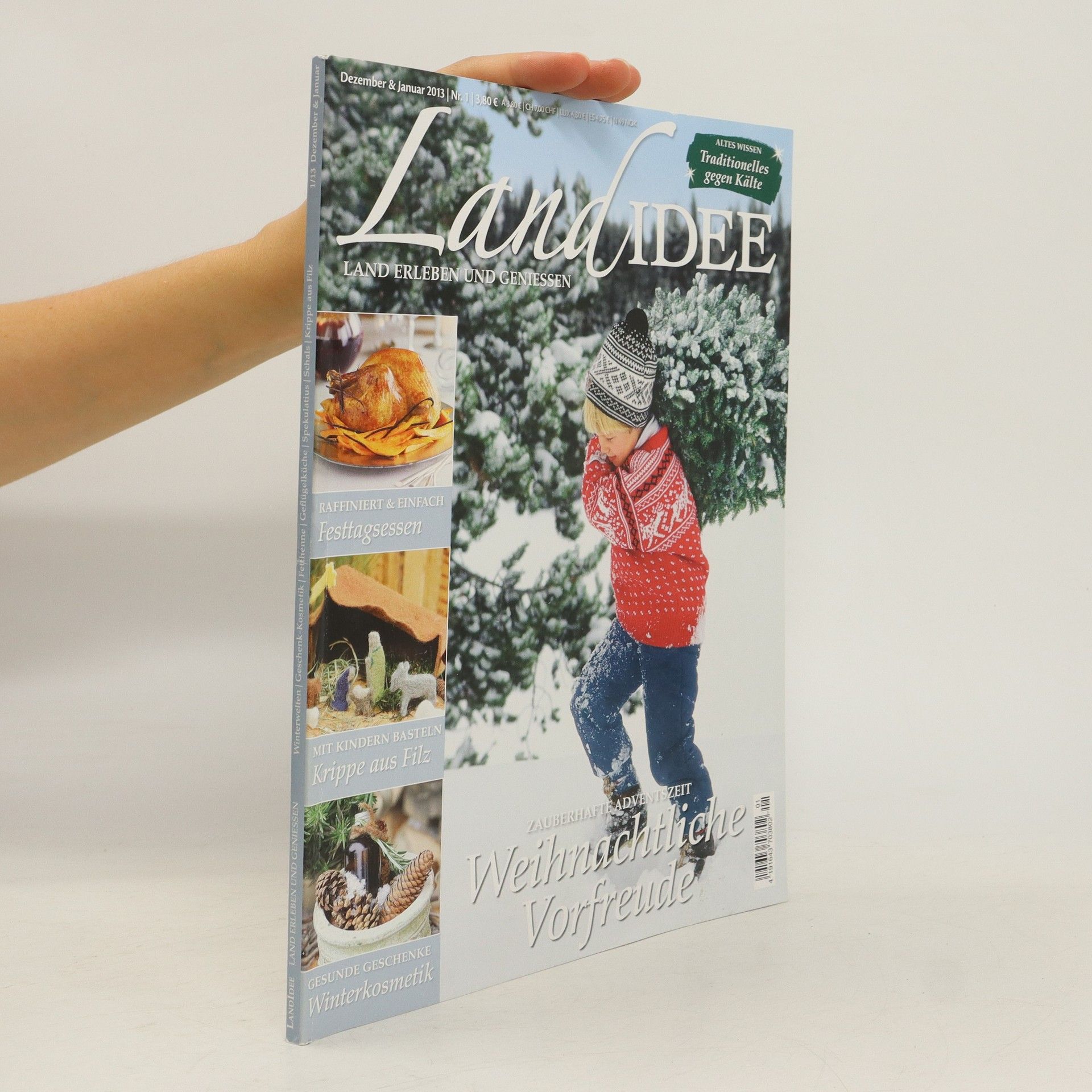 Collectif d'auteurs LandIdee 1/2013