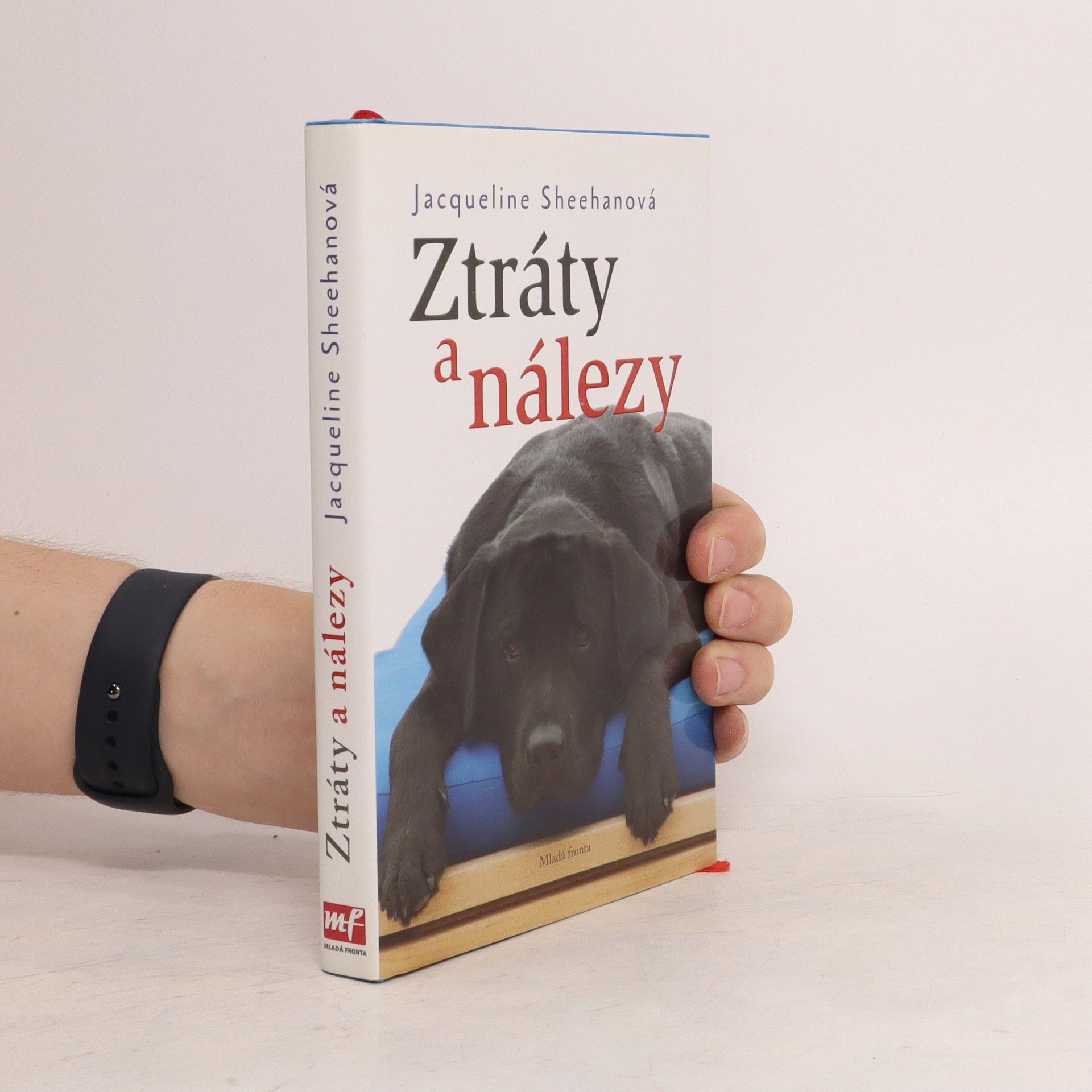 Jacqueline Sheehan Ztráty a nálezy