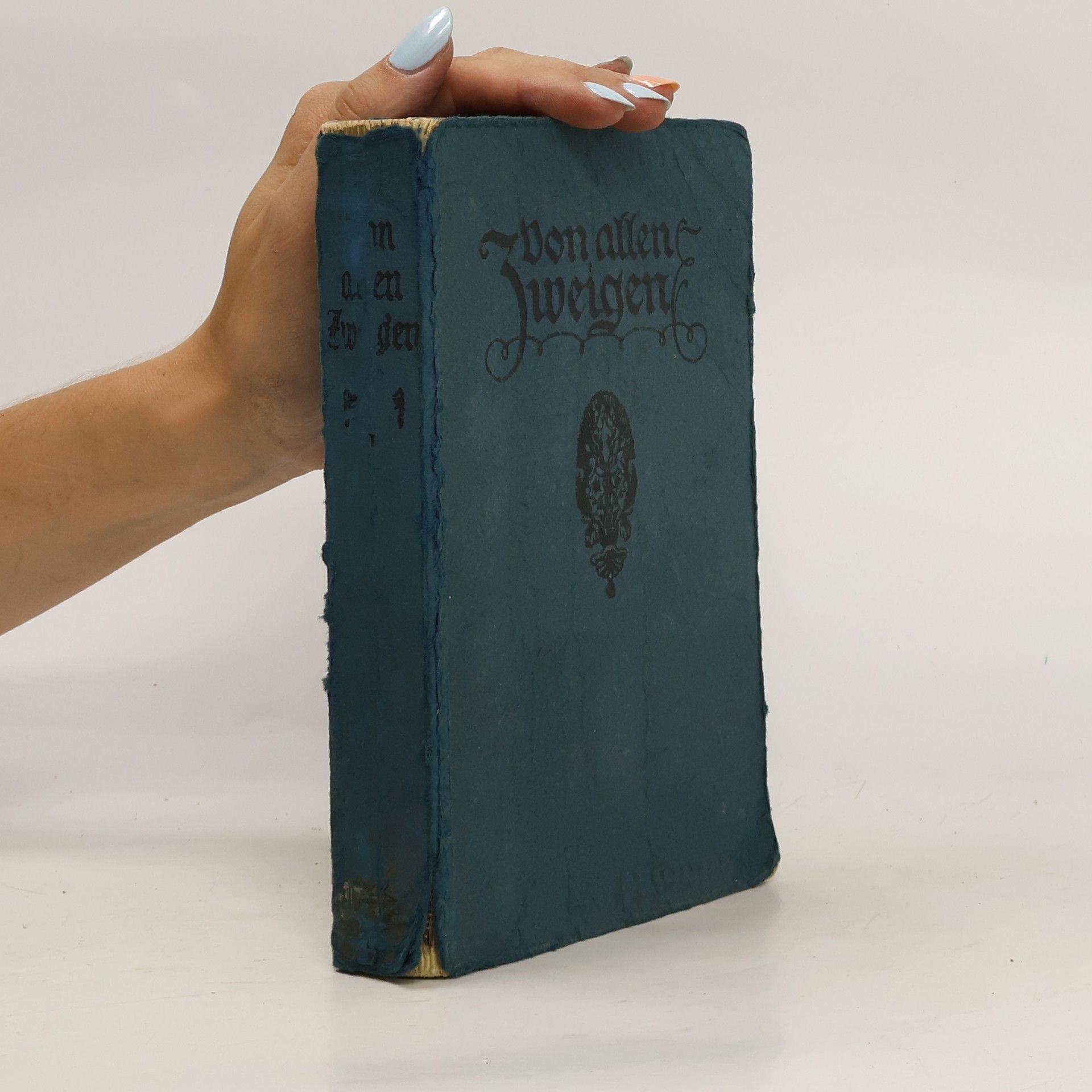 Autorenkollektiv Von allen Zweigen