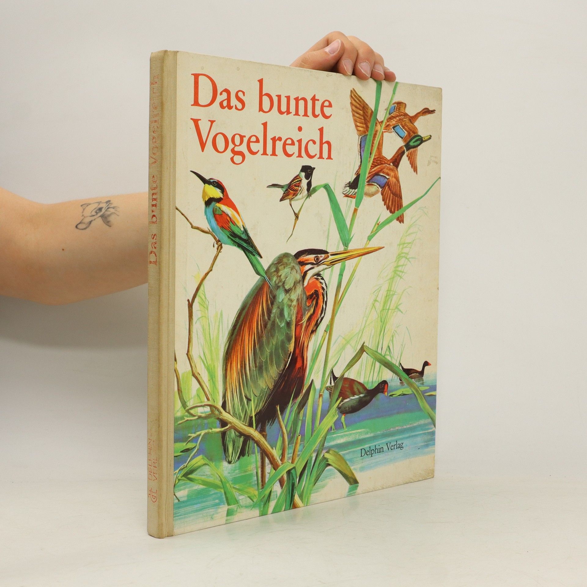 Autorenkollektiv Das bunte Vogelreich