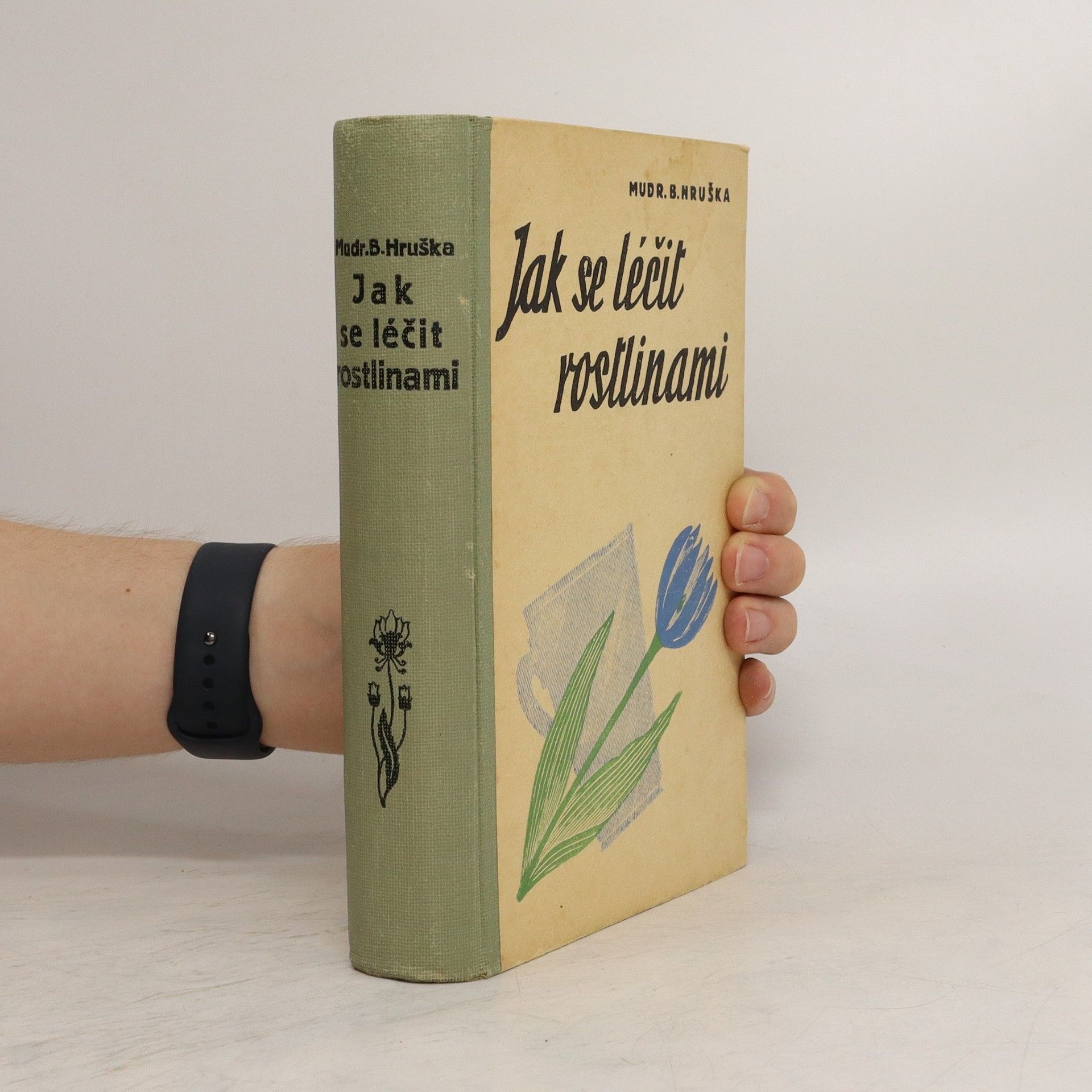 Blahoslav Hruška Jak se léčit rostlinami