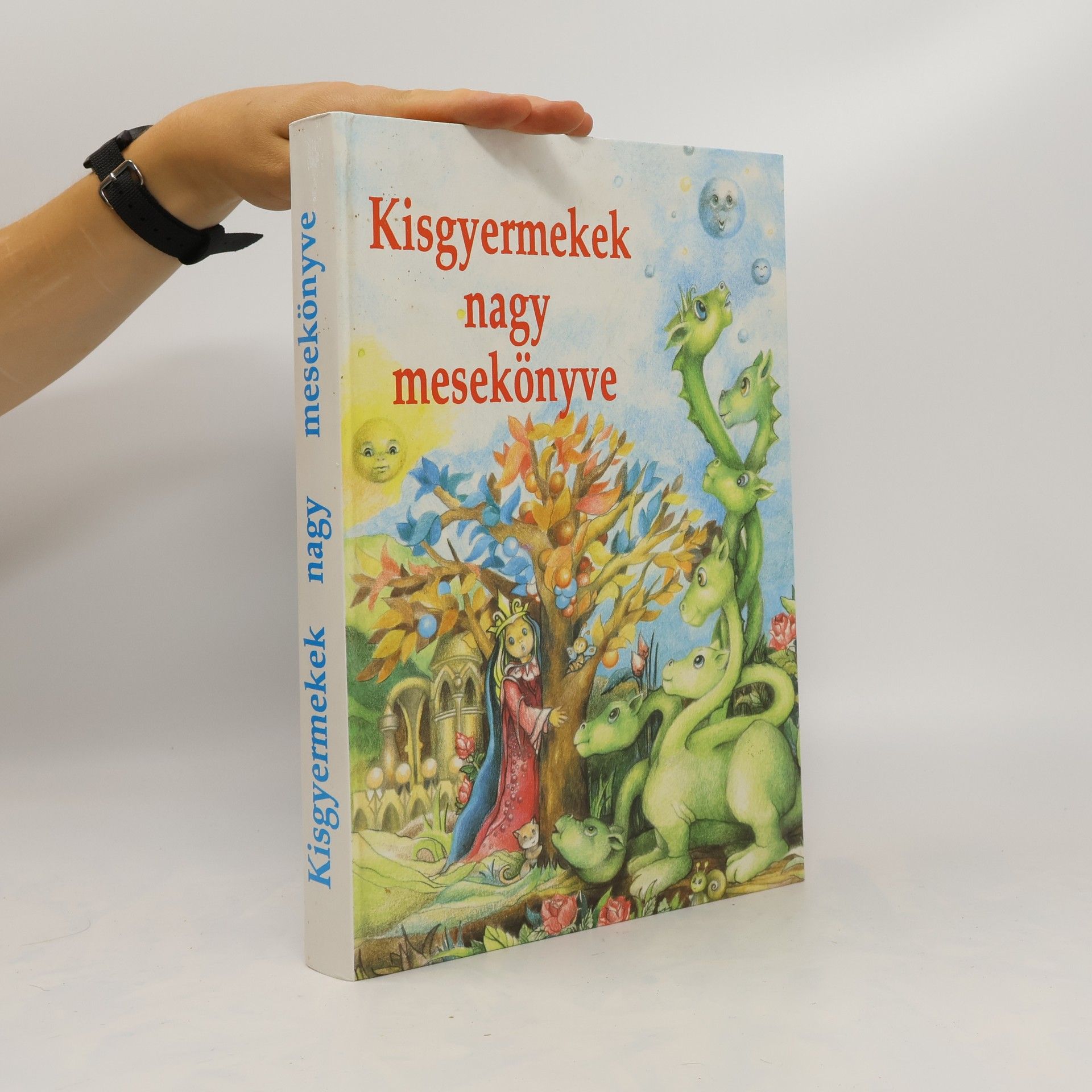 AA.VV. Kisgyermekek nagy mesek könyve