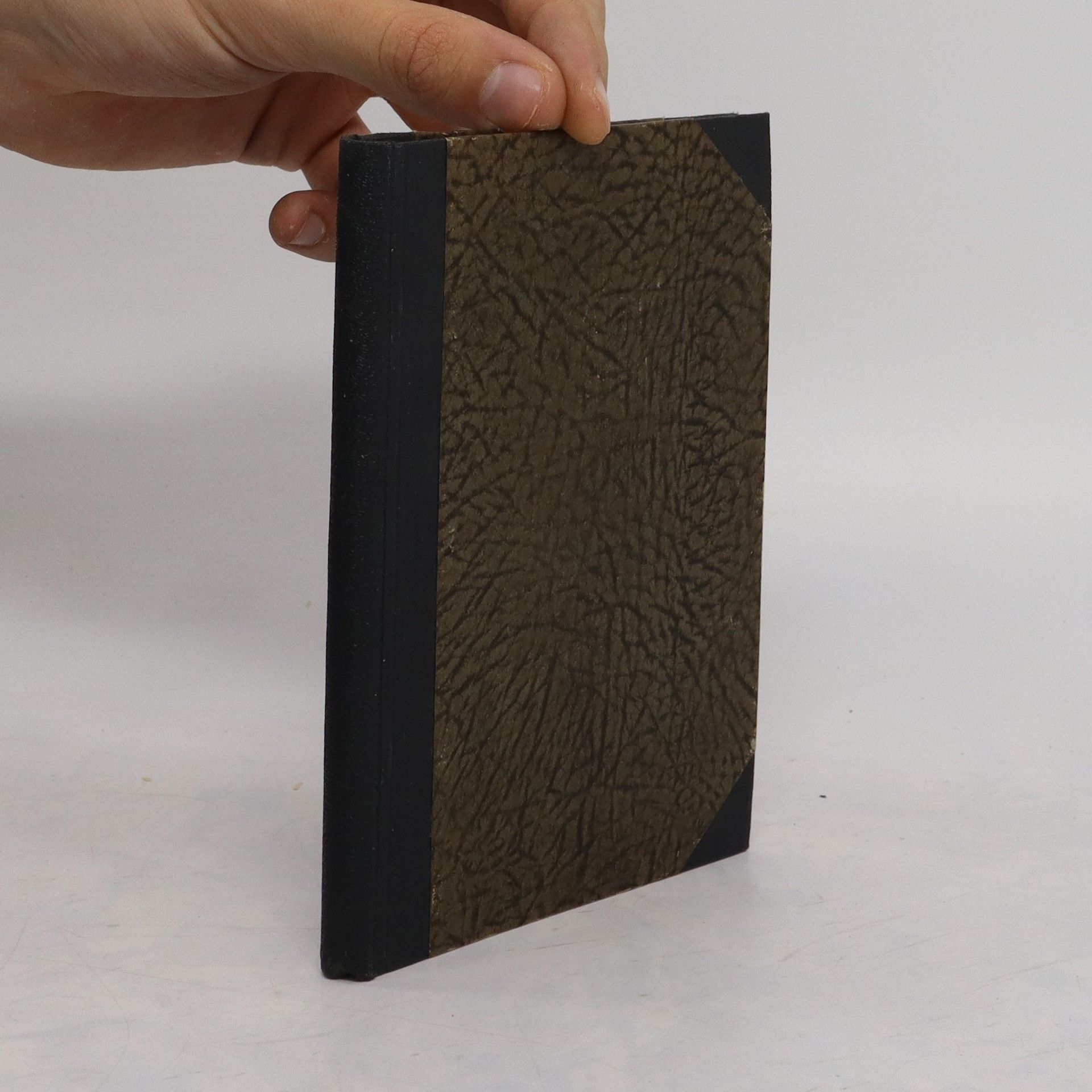 Kolektiv autorů Sňatek z insertu