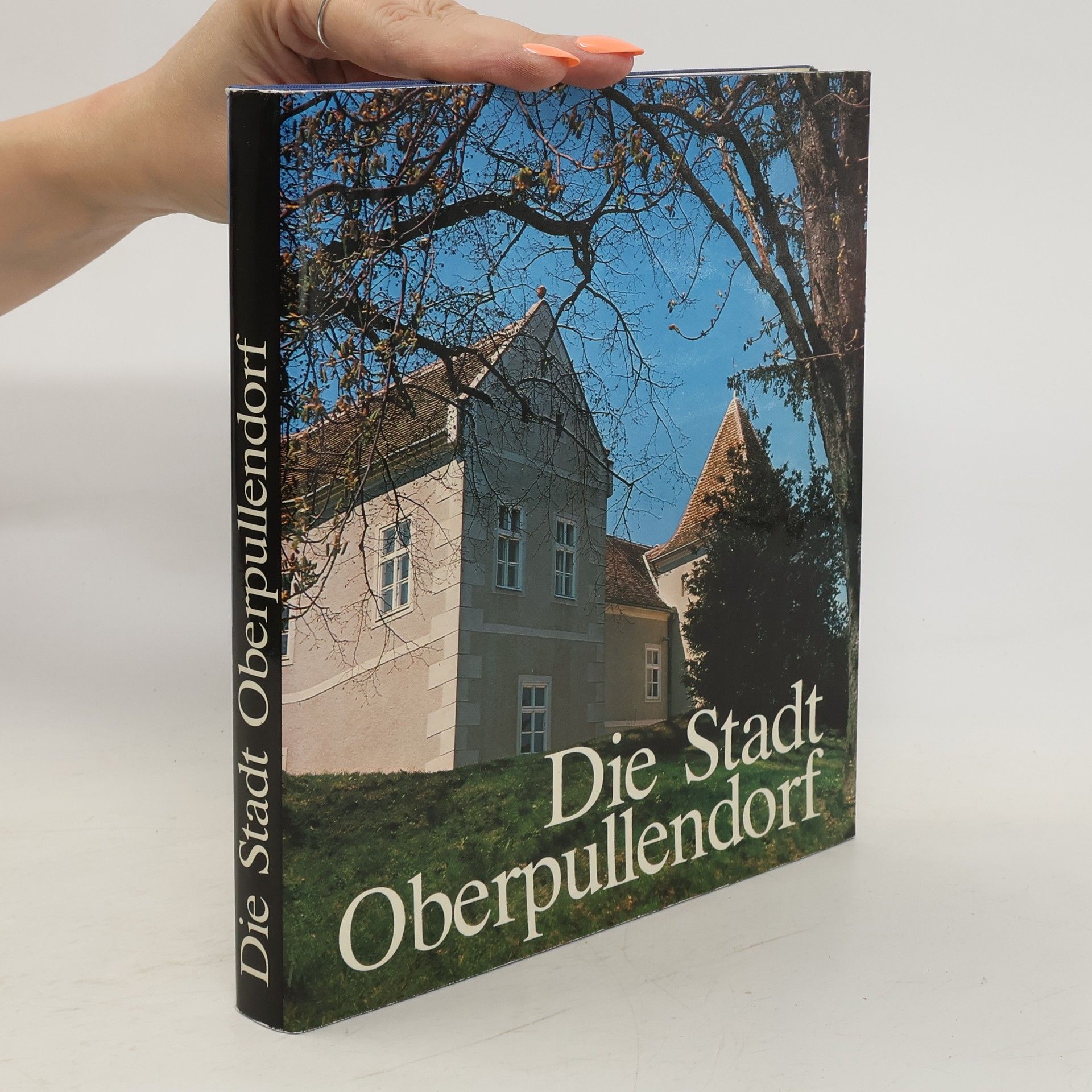 Autorenkollektiv Die Stadt Oberpullendorf