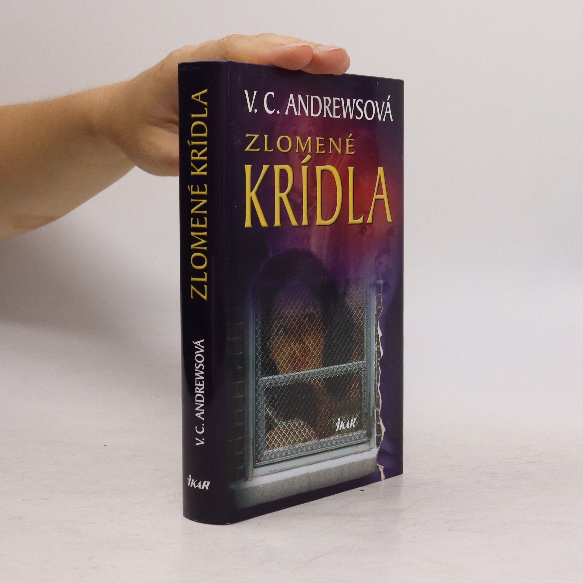 V. C. Andrews Zlomené krídla