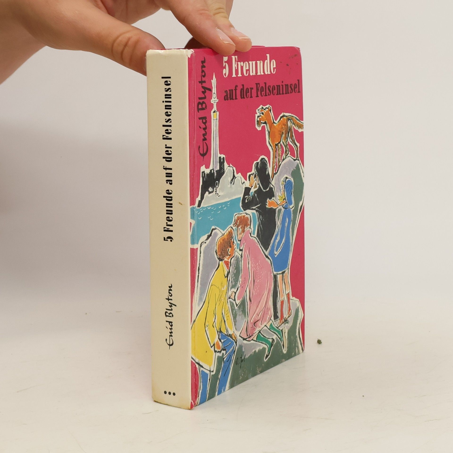 Enid Blyton 5 Freunde auf der Felseninsel