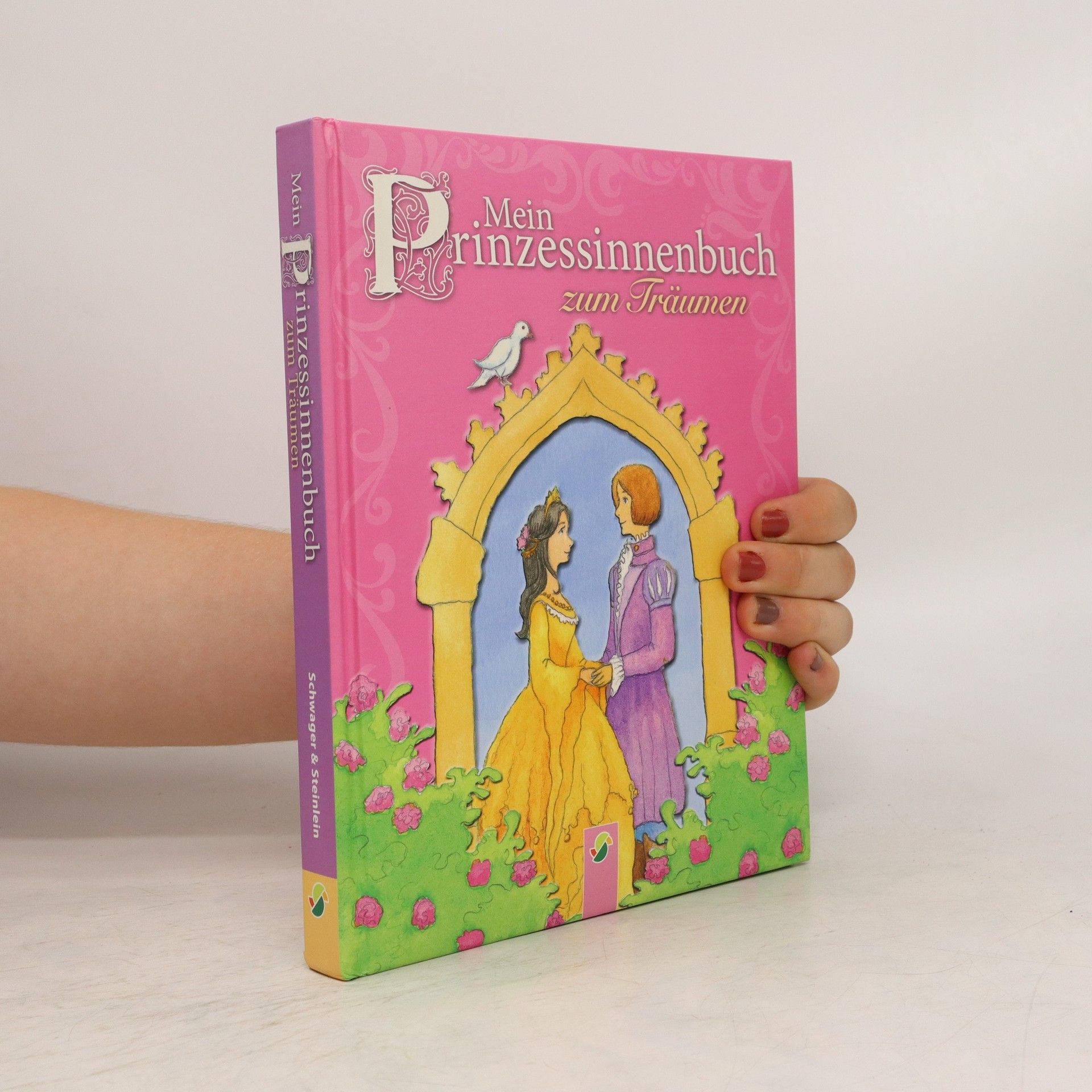 Rebecca Abe Mein Prinzessinnenbuch zum Träumen
