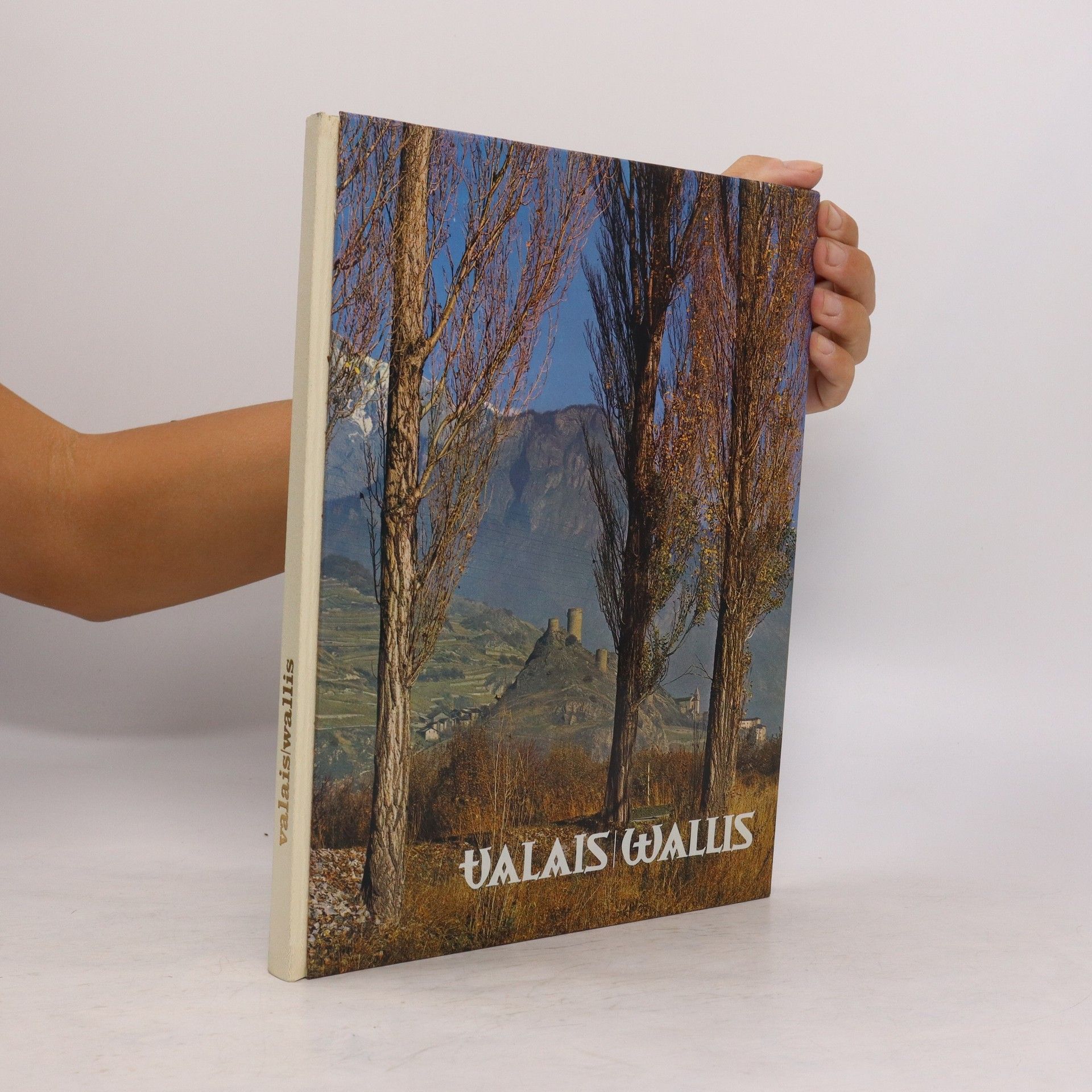 Collectif d'auteurs Valais/Wallis