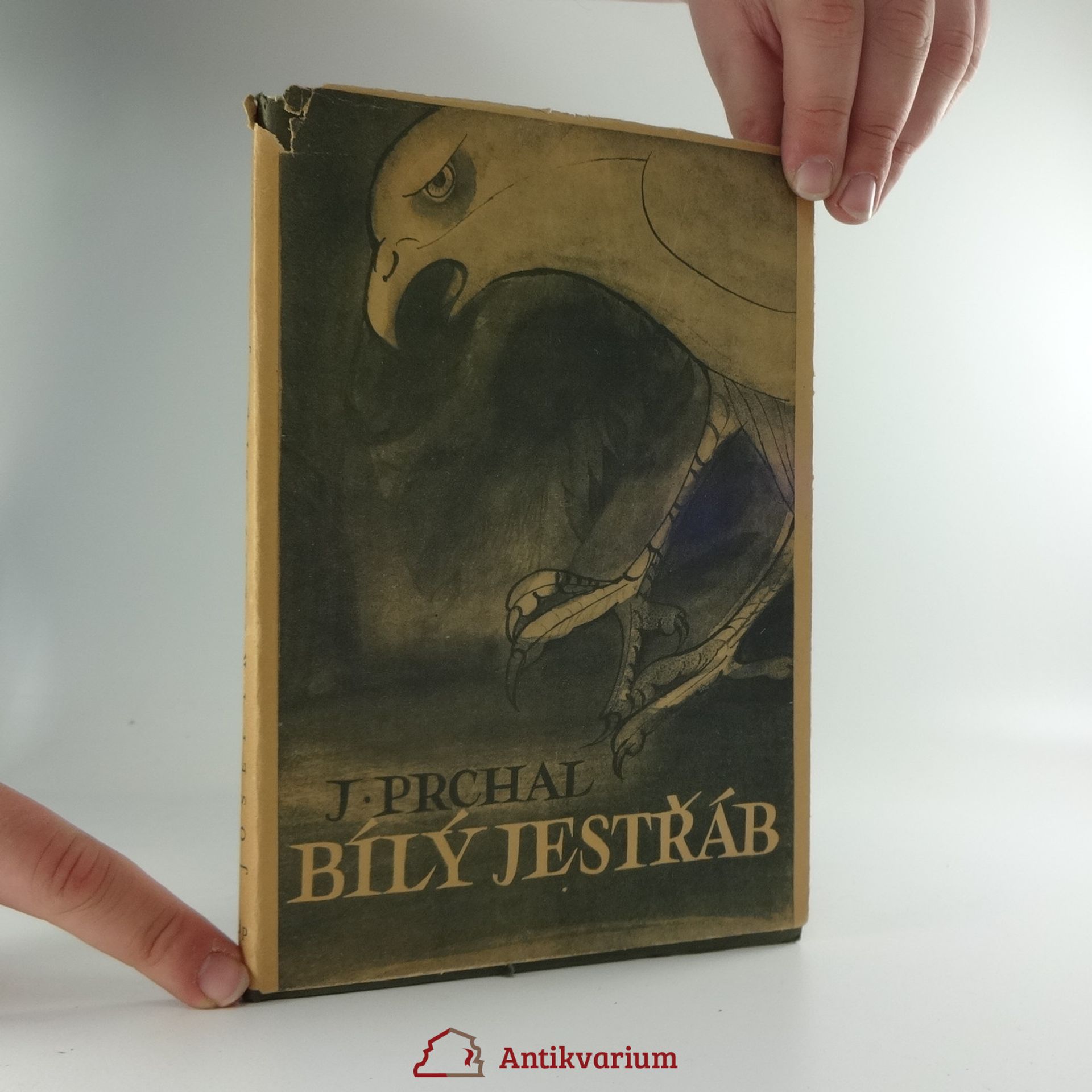 Josef Prchal Bílý jestřáb