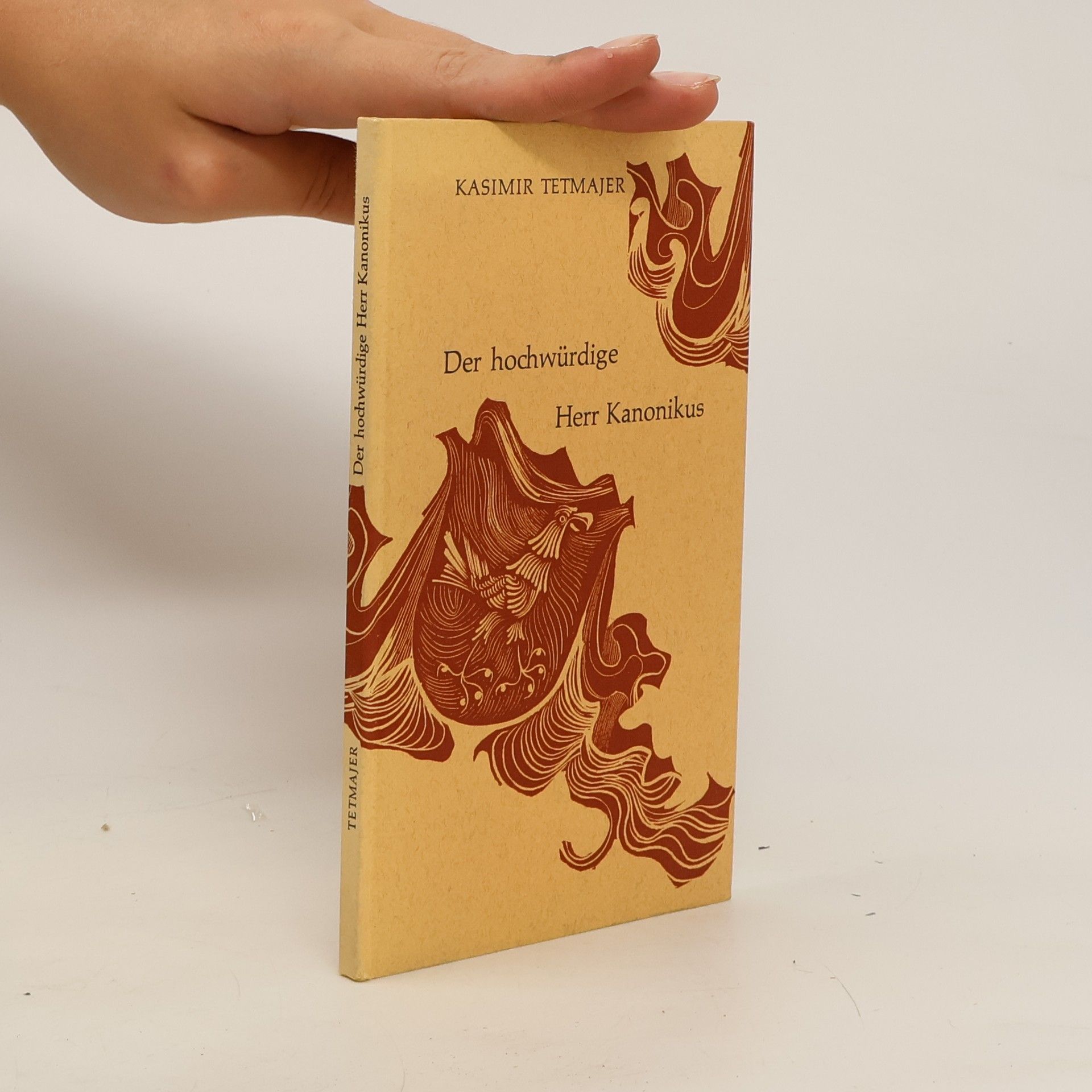 Kasimir Tetmajer Der hochwürdige Herr Kanonikus