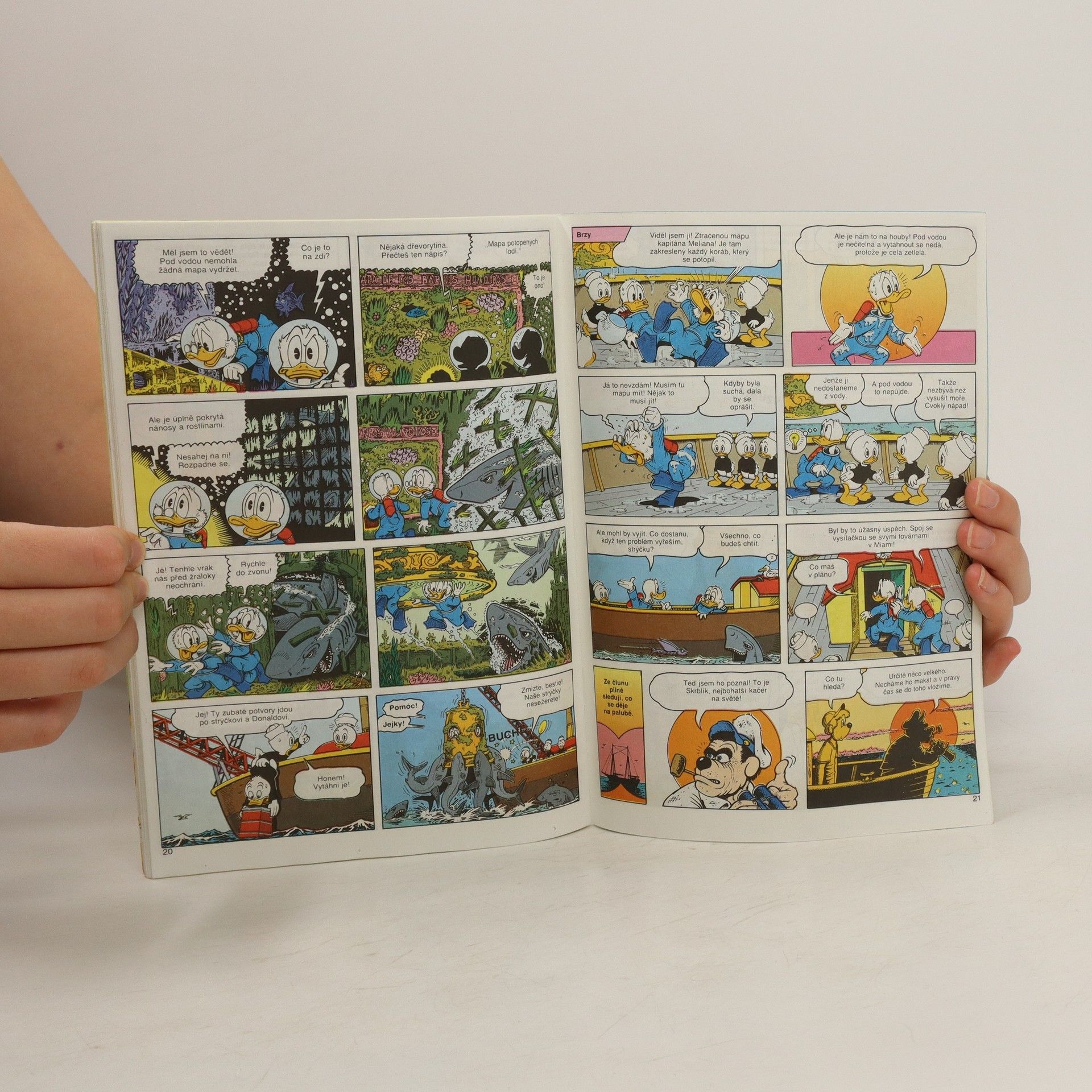 Autorenkollektiv Duck Tales 5/1993. Výprava za medvědem