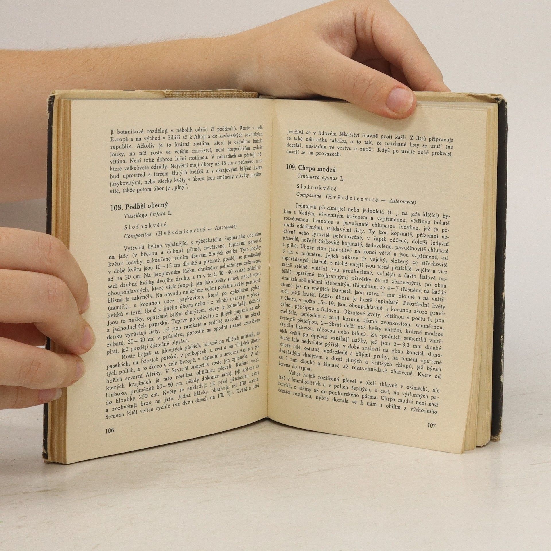 Albert Pilát Kapesní atlas rostlin