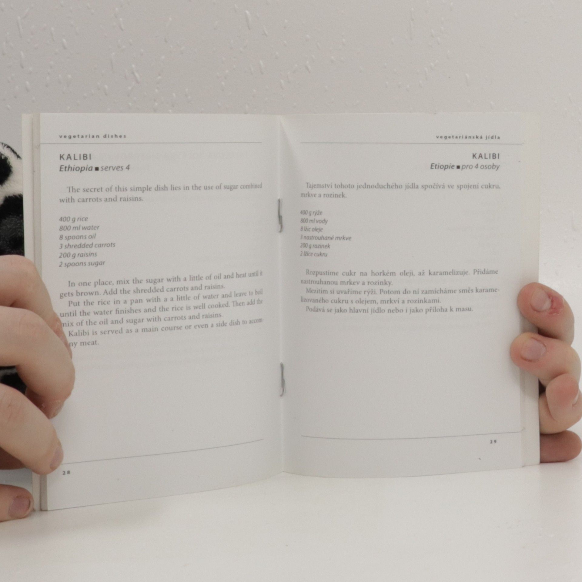 Autorenkollektiv Pohled do hrnce uprchlíka