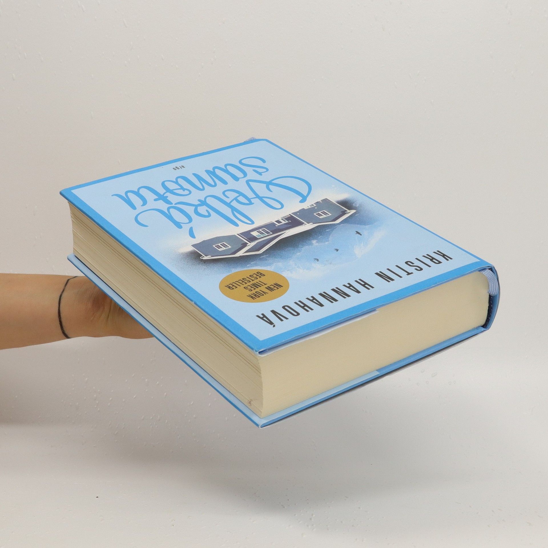 Kristin Hannah Velká samota