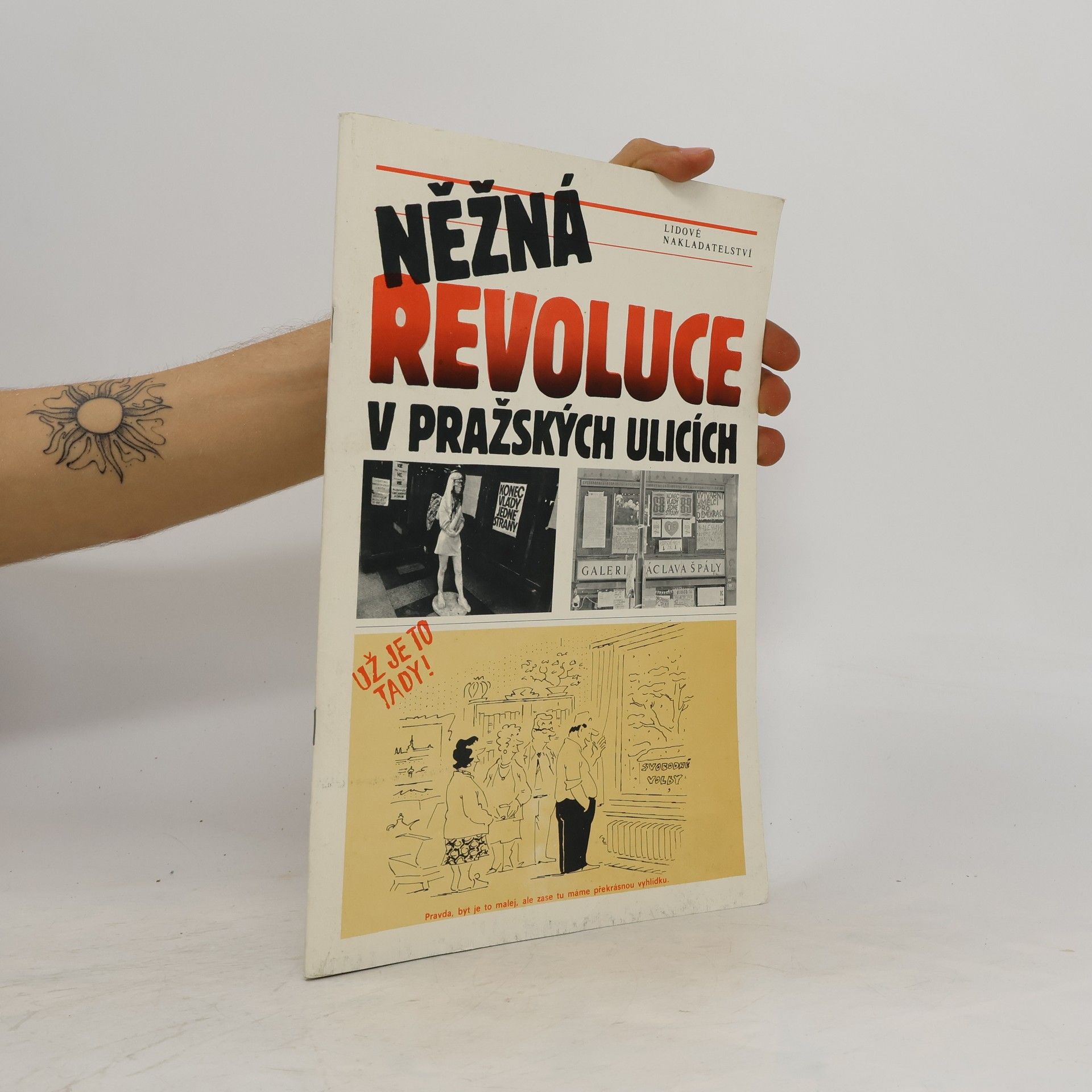 Kolektiv autorů Něžná revoluce v pražských ulicích