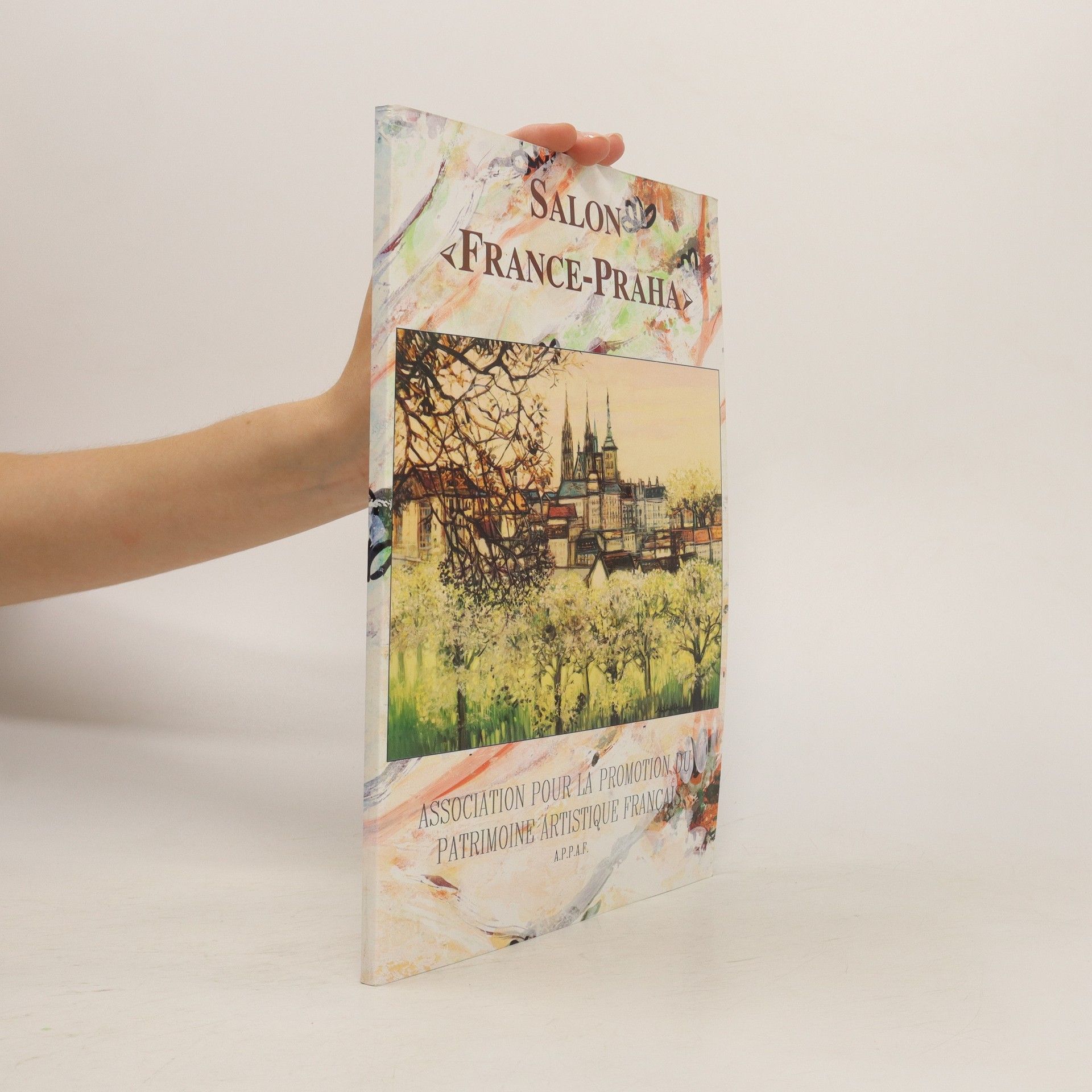 Collectif d'auteurs Salon France-Praha