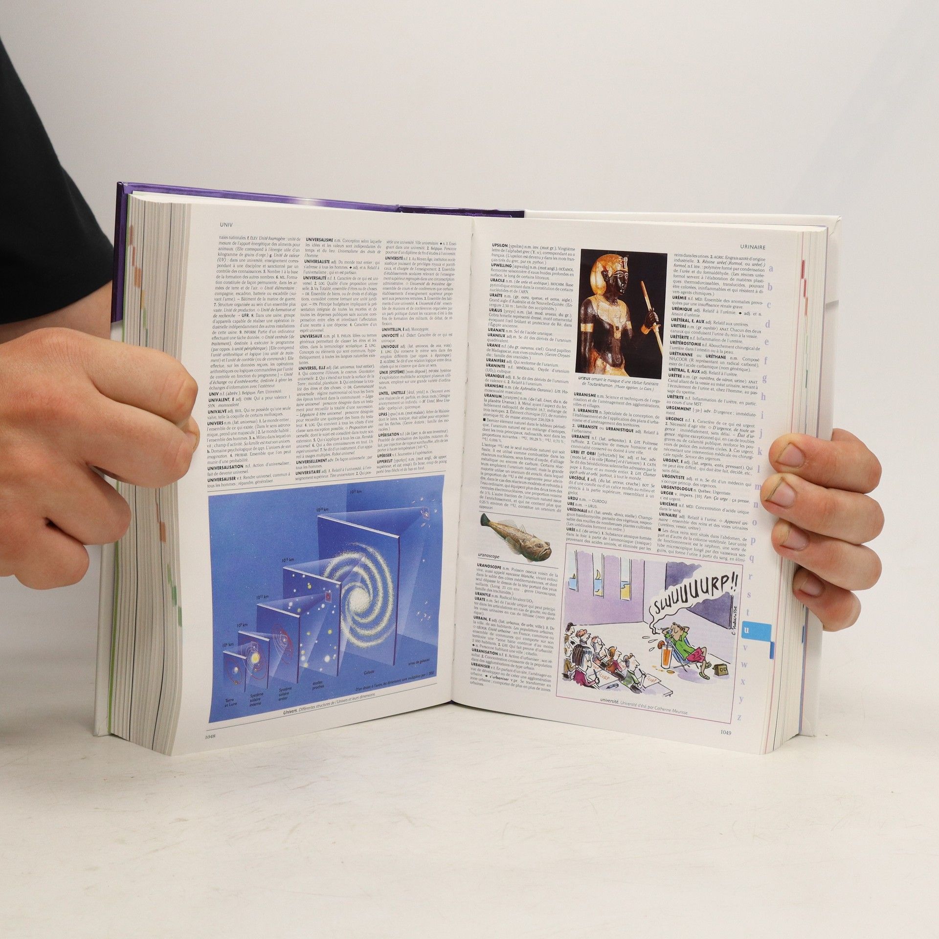 Autorenkollektiv Le Petit Larousse illustré 2010